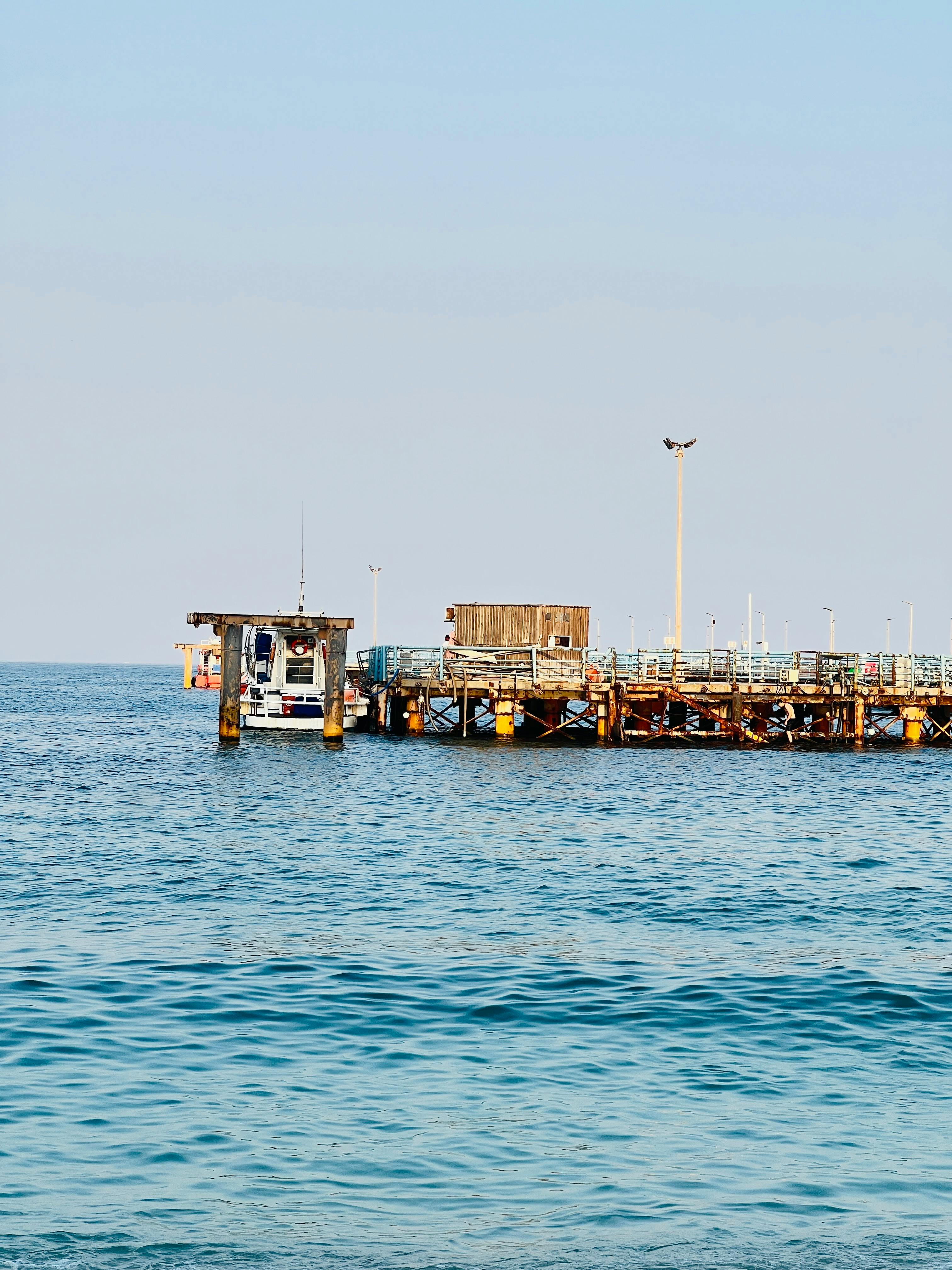 Fondo de Pantalla de pexels_30117794.jpg