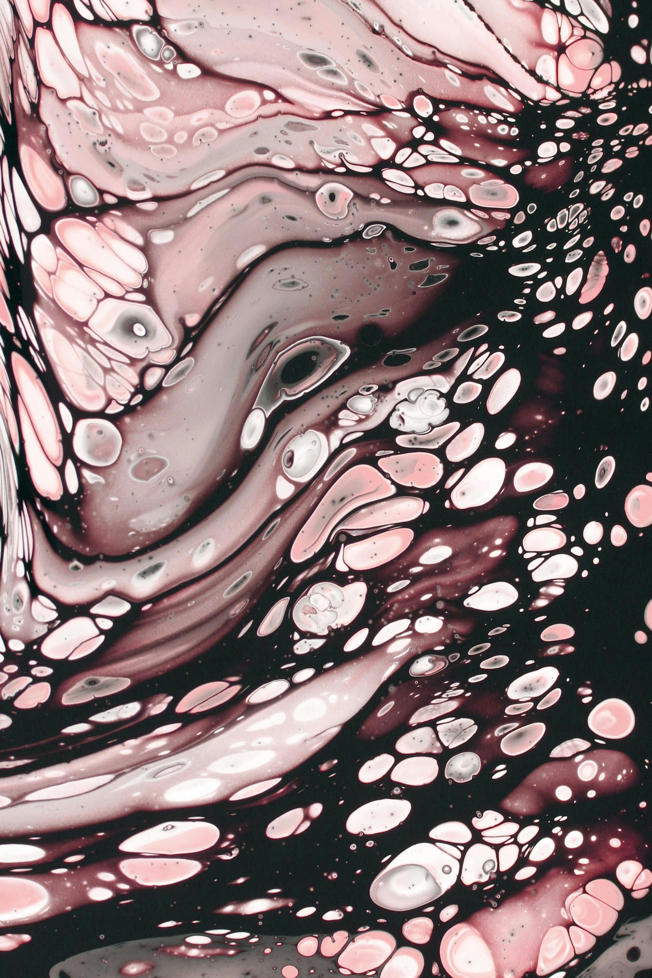 Fondo de Pantalla de pexels_30158185.jpg