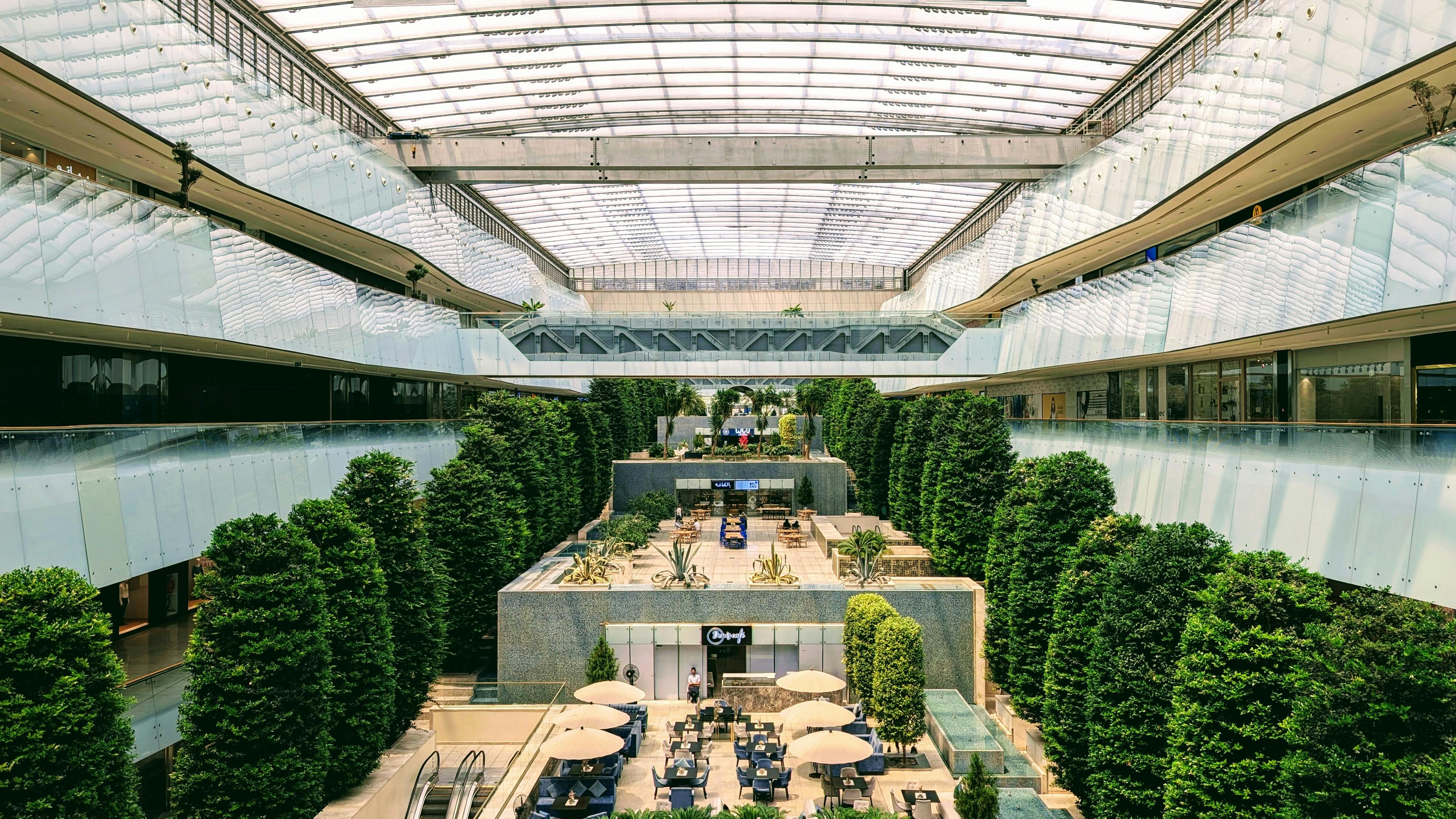 Fondo de Pantalla de pexels_30158321.jpg