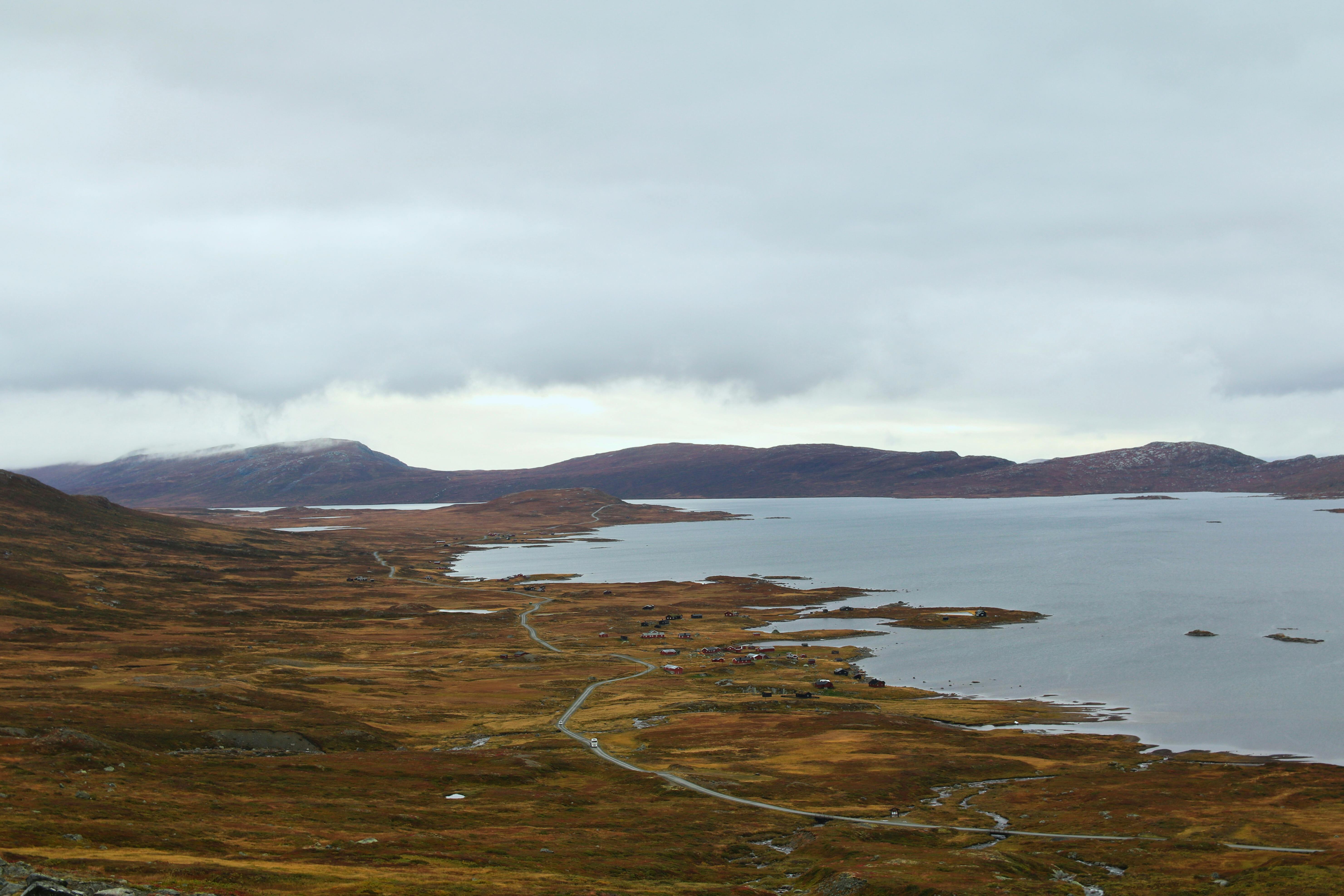 Fondo de Pantalla de pexels_30190999.jpg