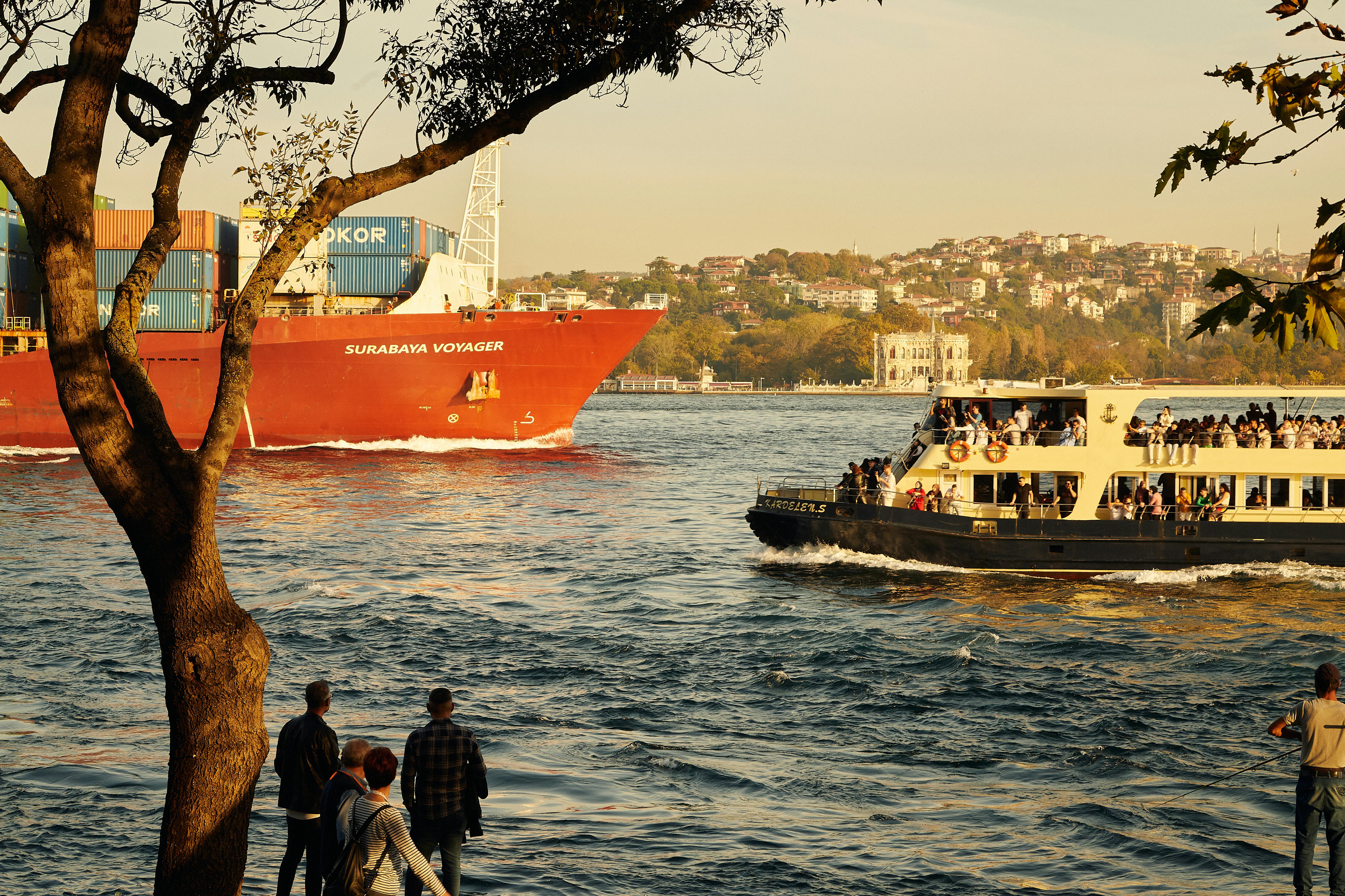 Fondo de Pantalla de pexels_30270601.jpg