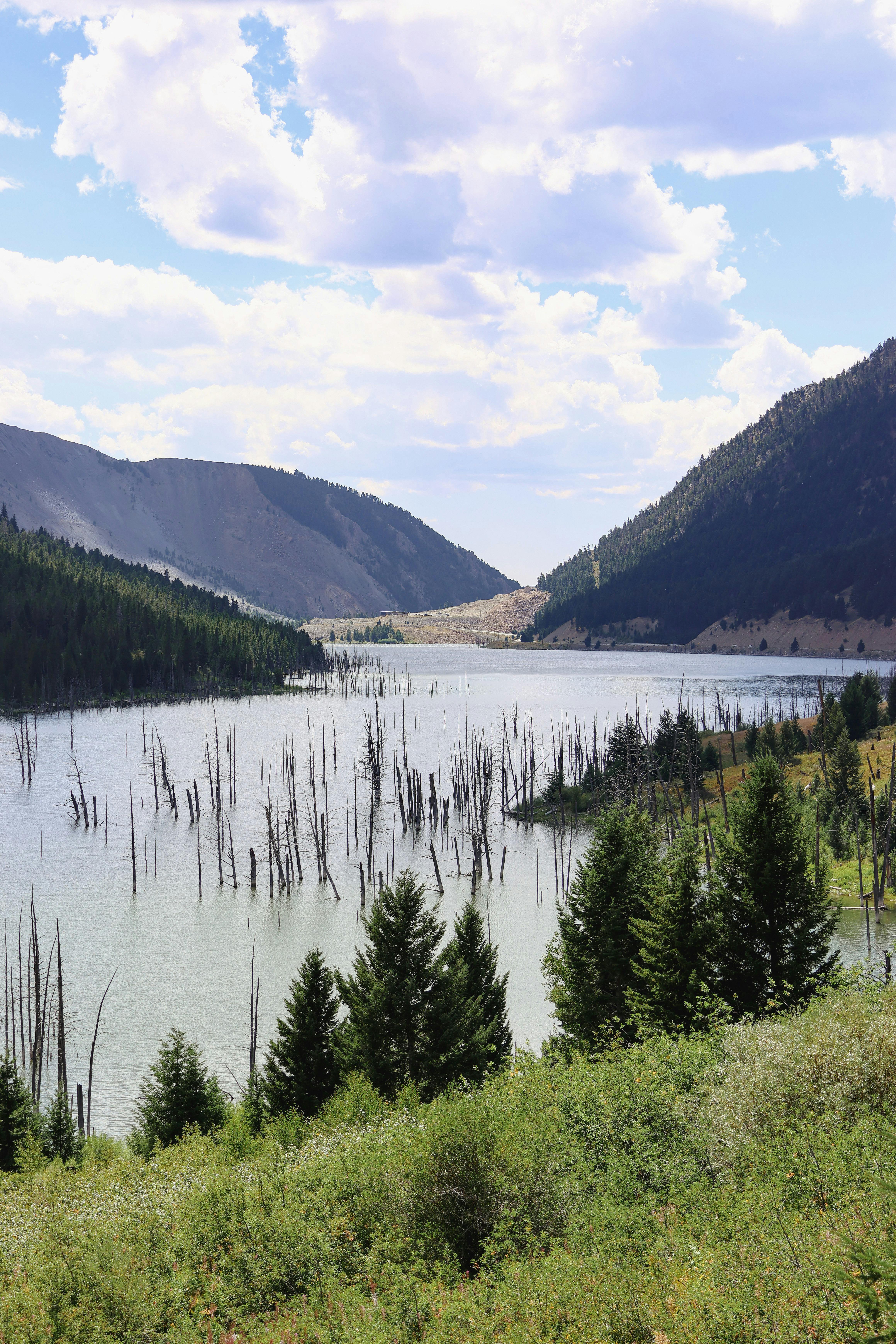 Fondo de Pantalla de pexels_30344654.jpg