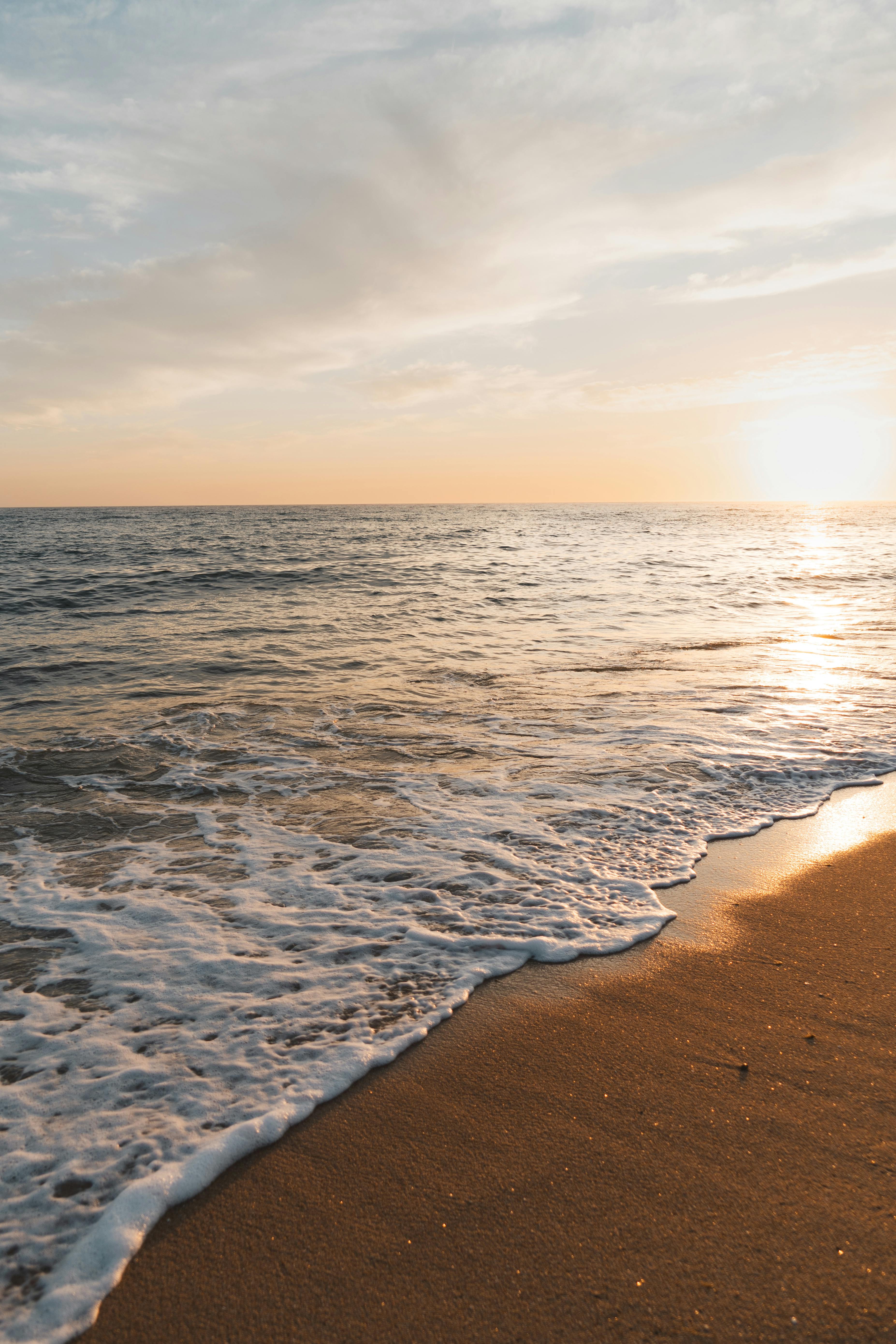 Fondo de Pantalla de pexels_30352308.jpg