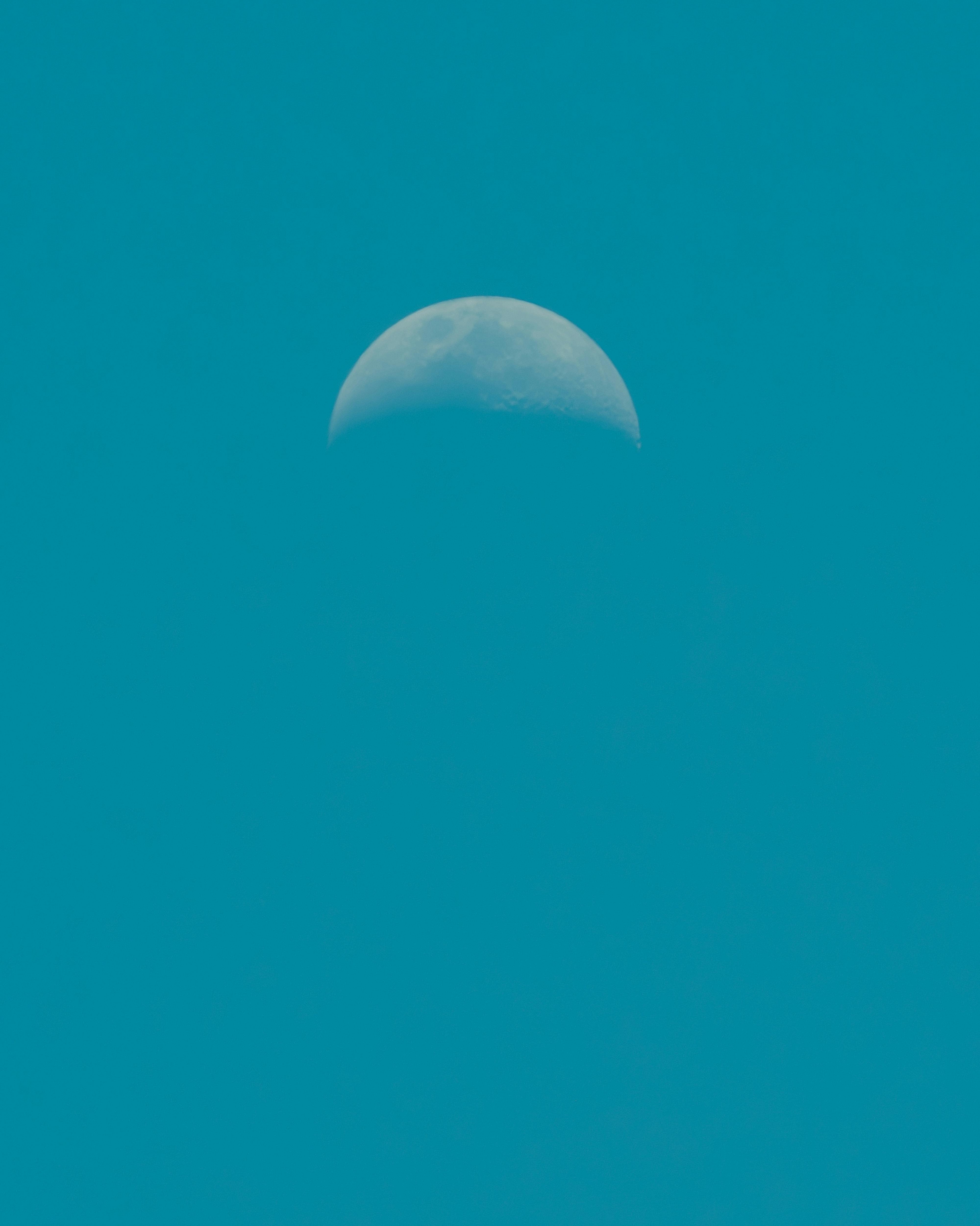 Fondo de Pantalla de pexels_30375173.jpg