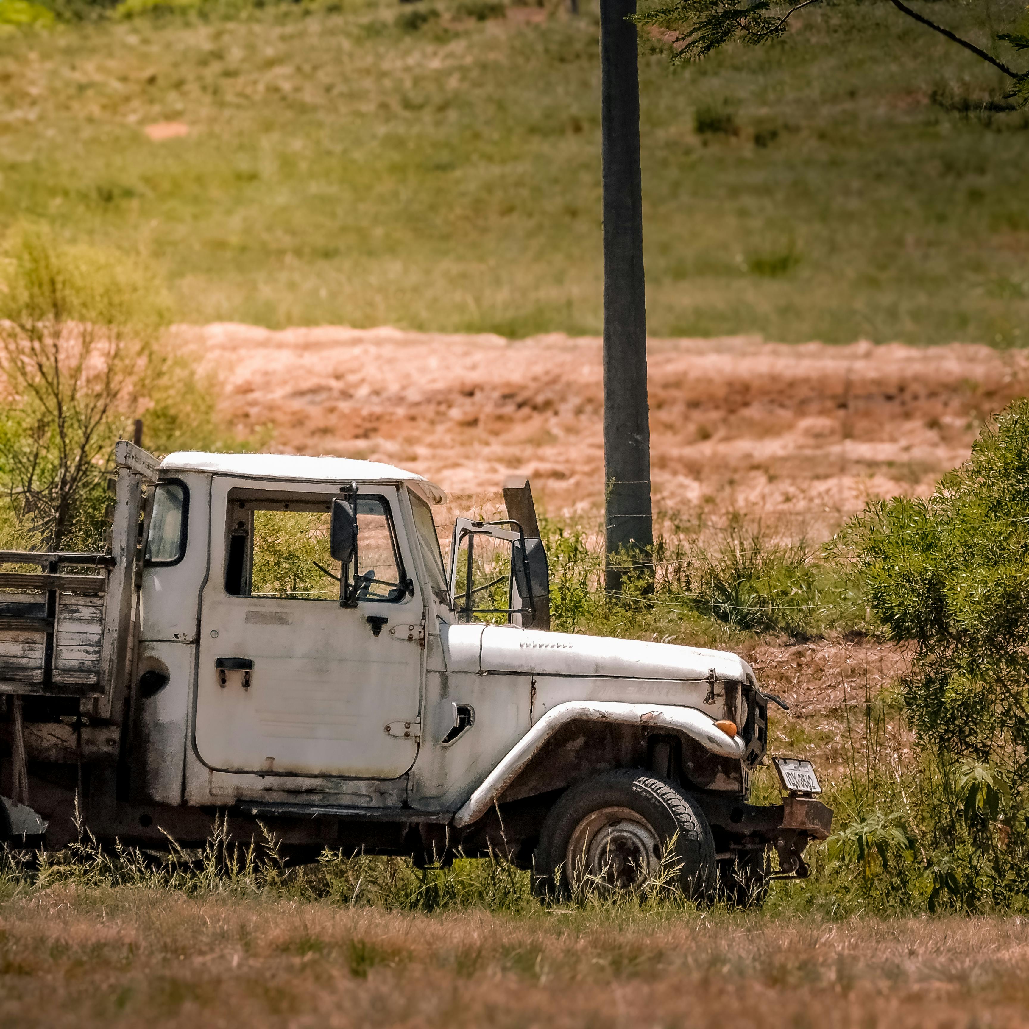 Fondo de Pantalla de pexels_30376613.jpg