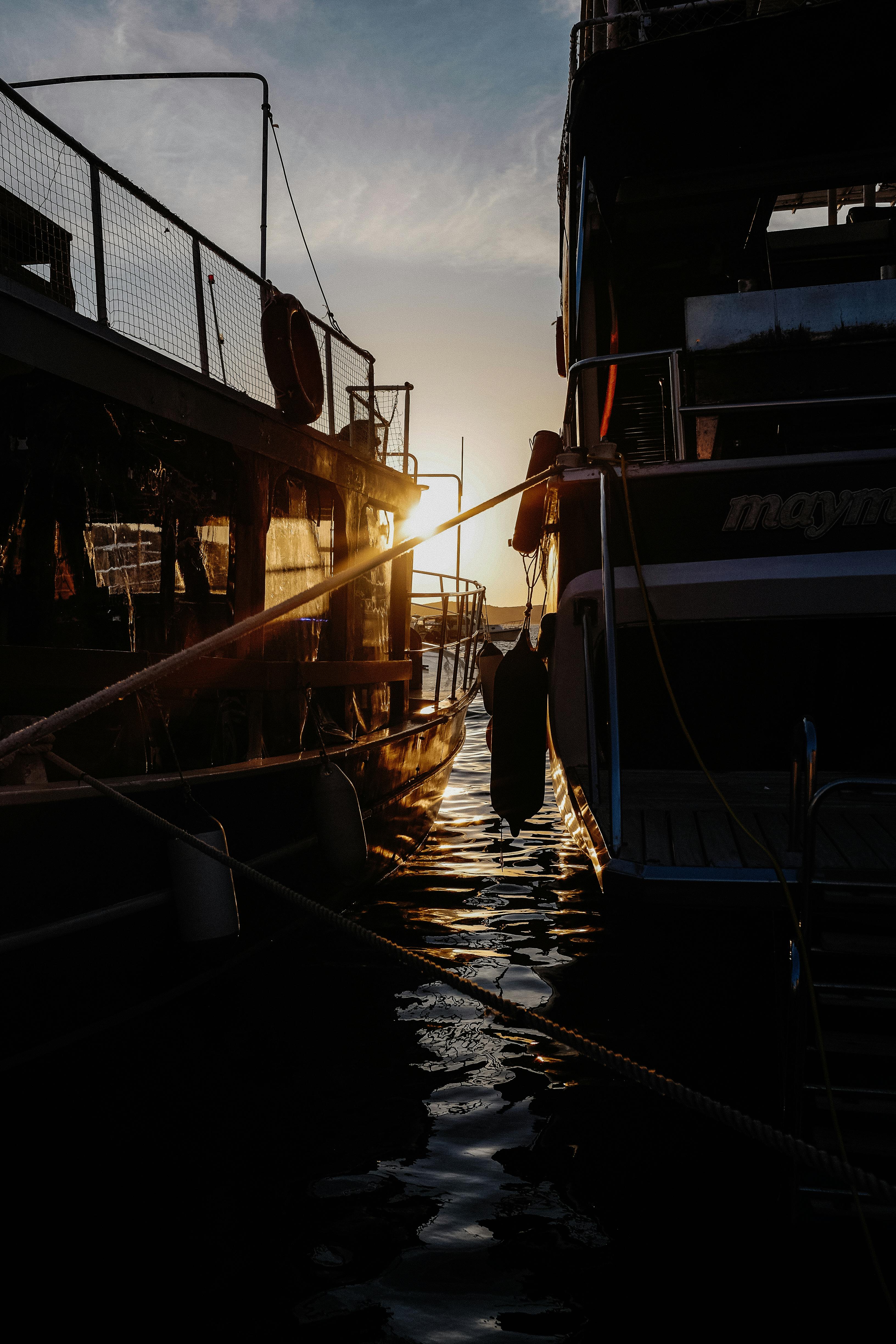 Fondo de Pantalla de pexels_30381579.jpg