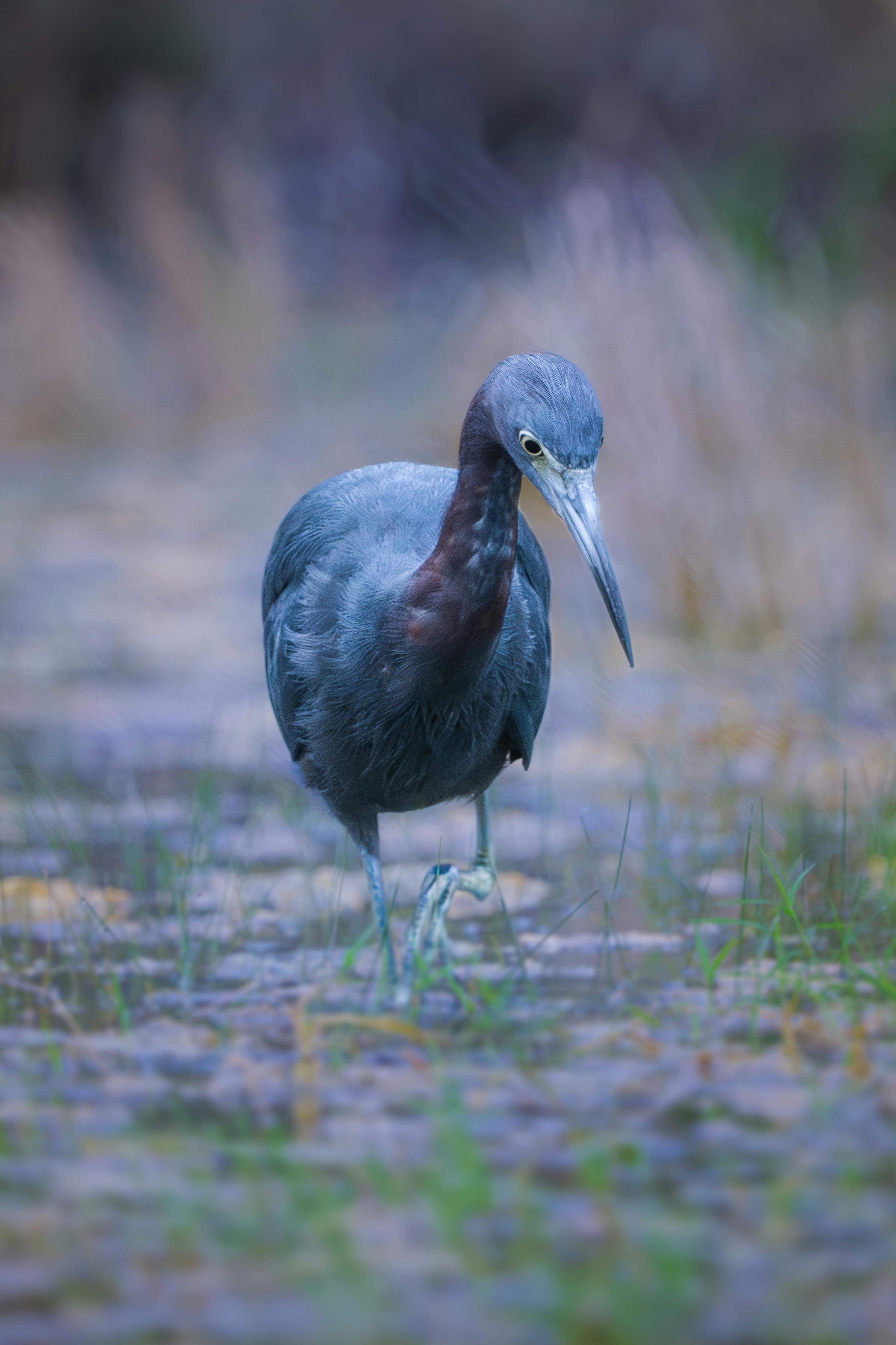 Fondo de Pantalla de pexels_30391561.jpg