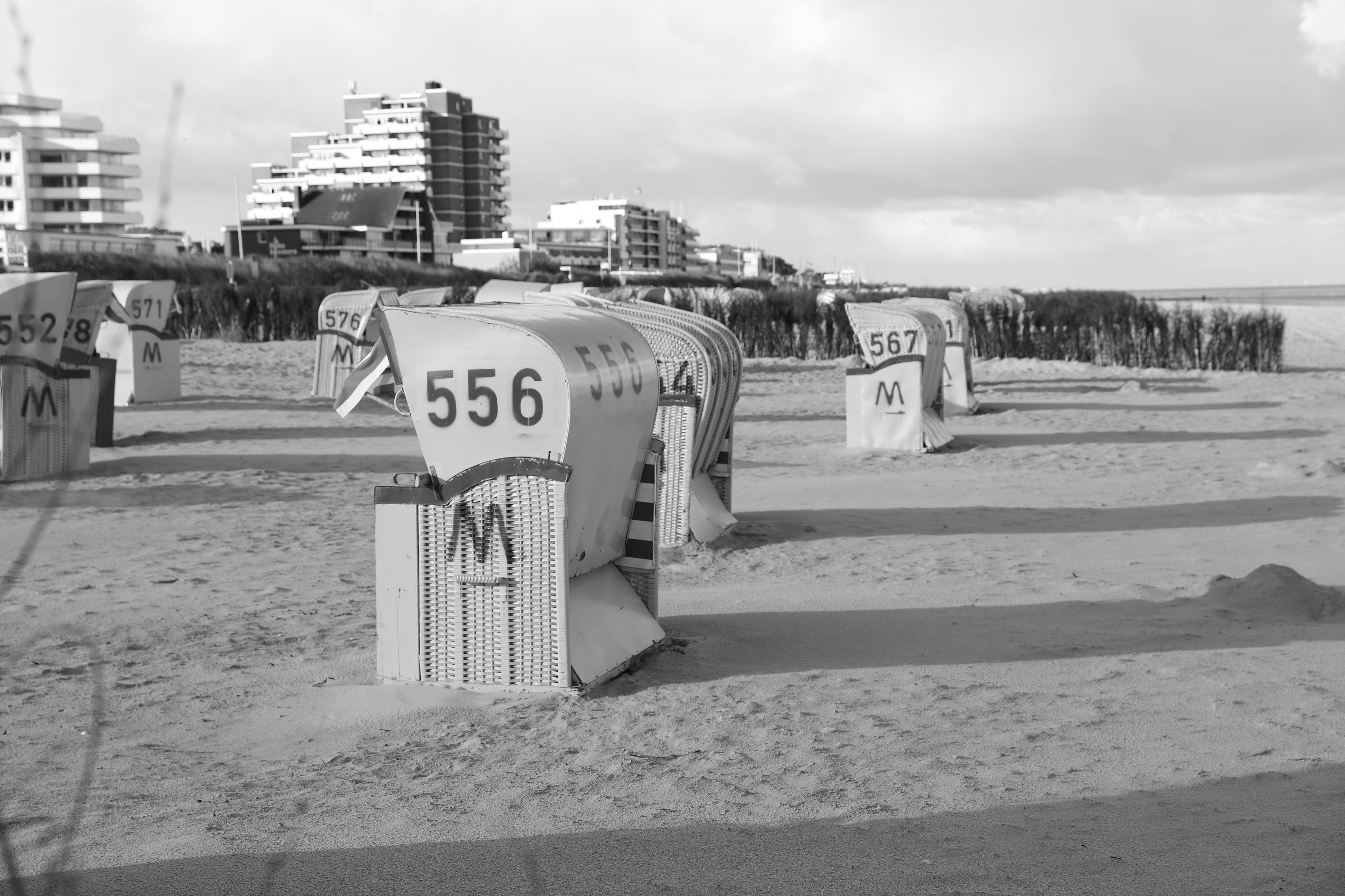 Fondo de Pantalla de pexels_30392323.jpg