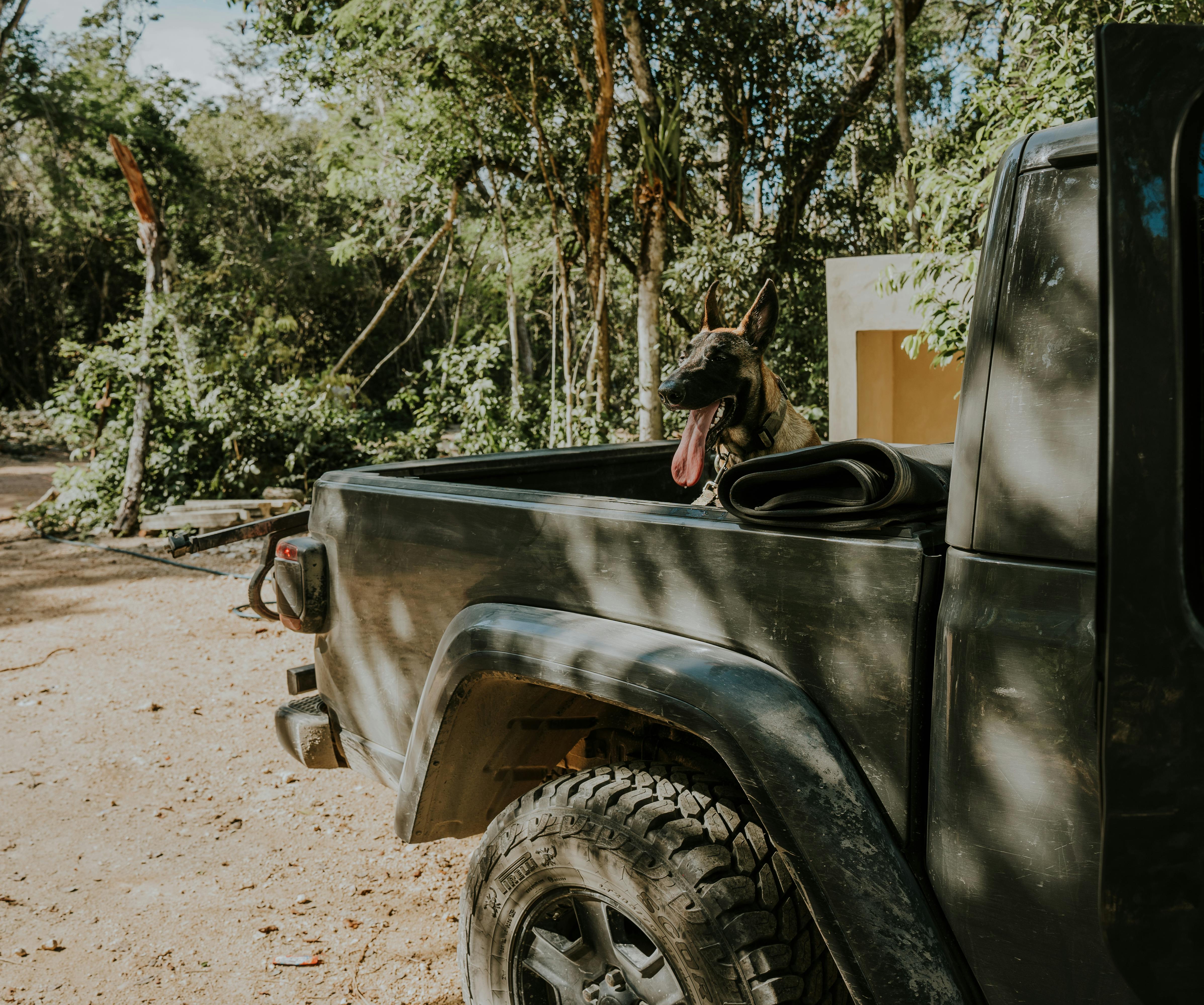 Fondo de Pantalla de pexels_30403059.jpg