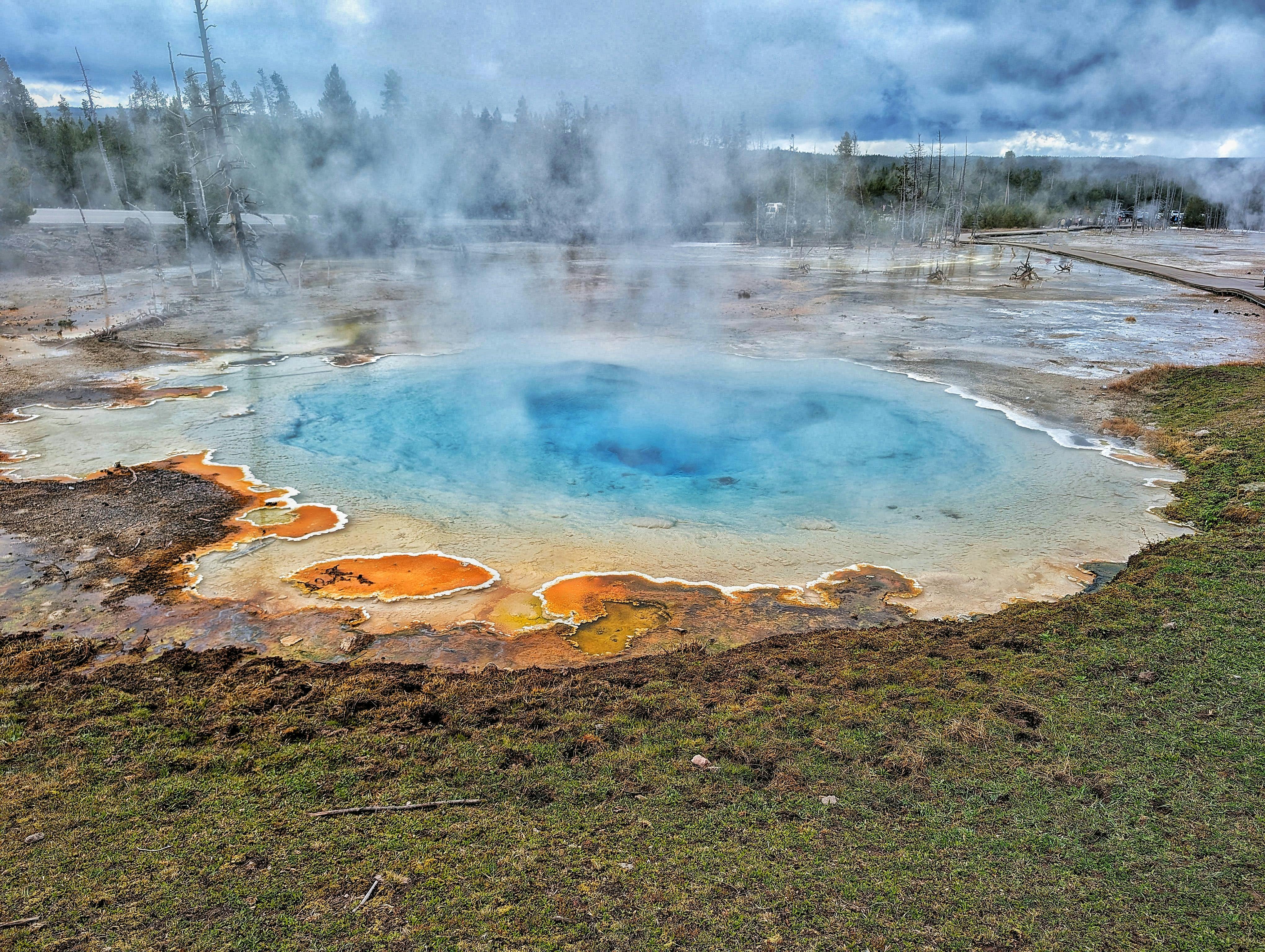 Fondo de Pantalla de pexels_30433089.jpg