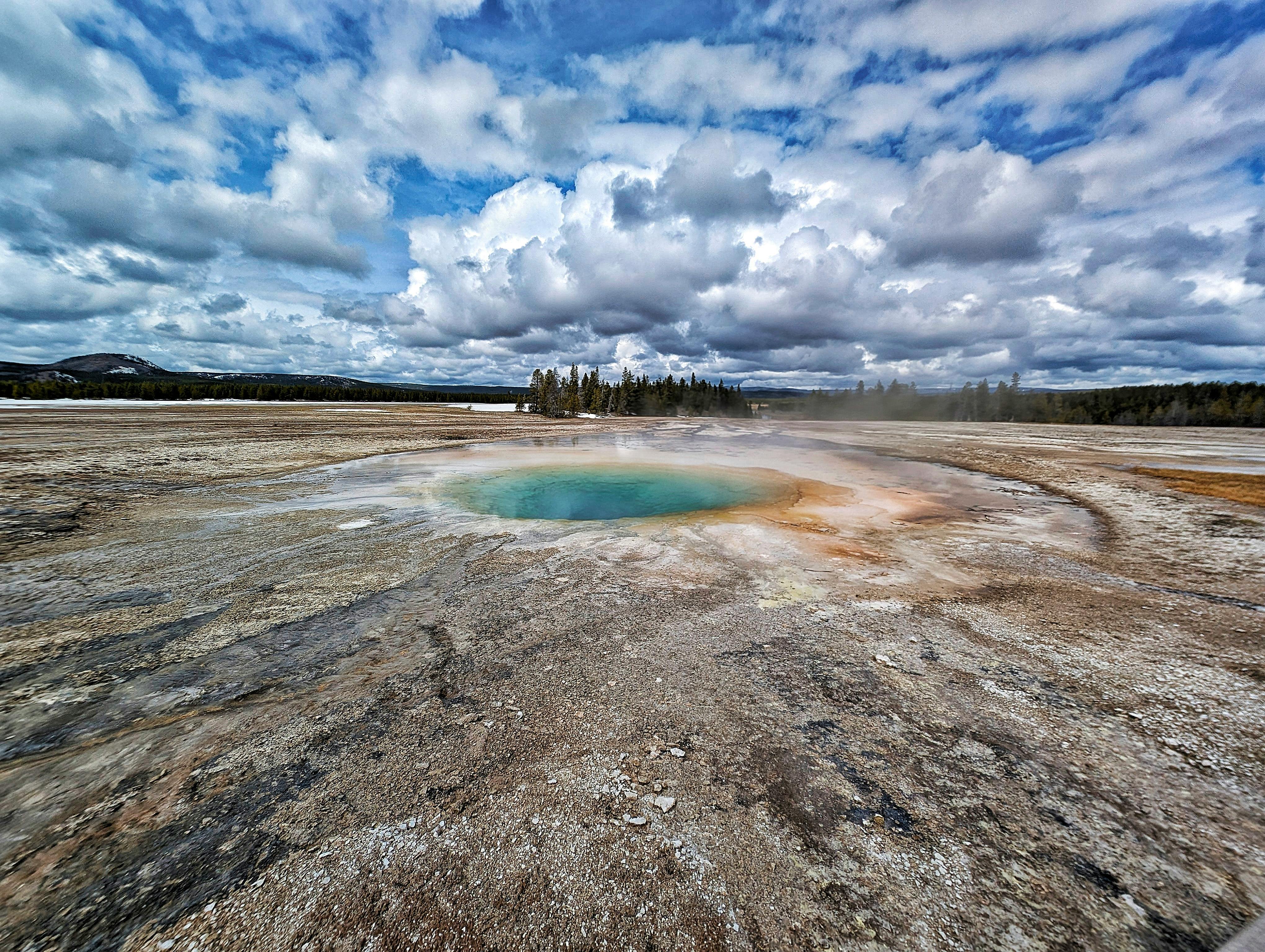 Fondo de Pantalla de pexels_30433650.jpg