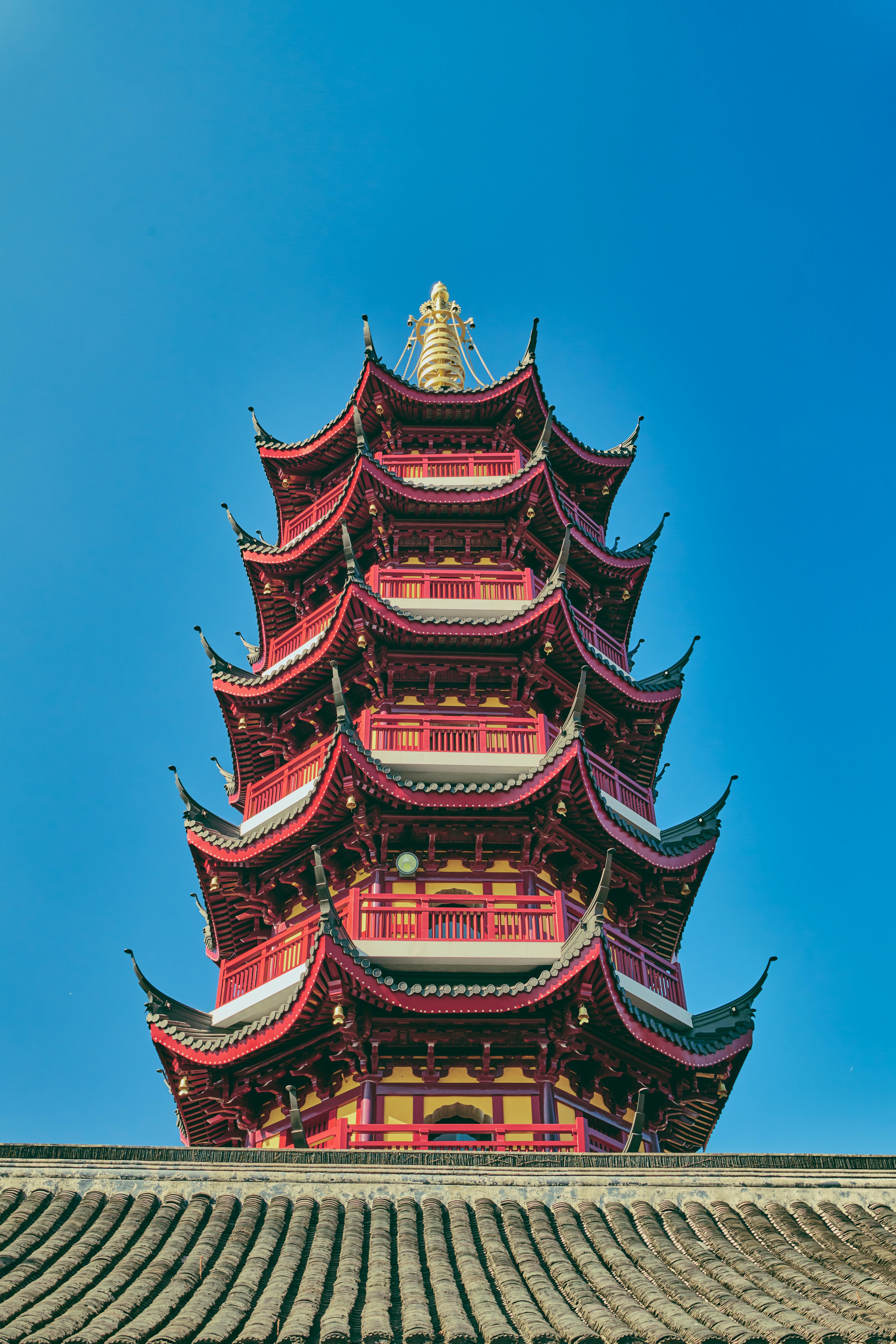 Fondo de Pantalla de pexels_30439260.jpg