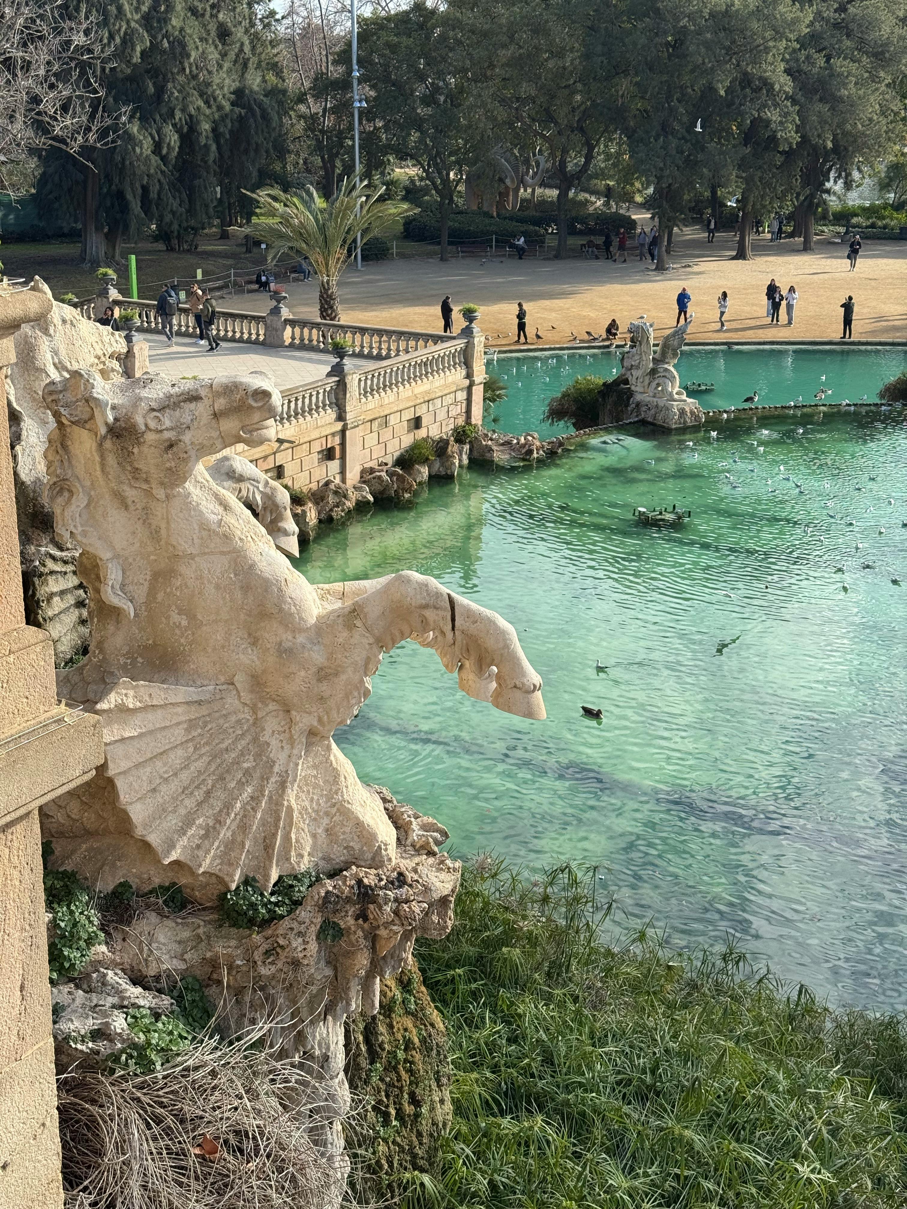 Fondo de Pantalla de pexels_30493011.jpg