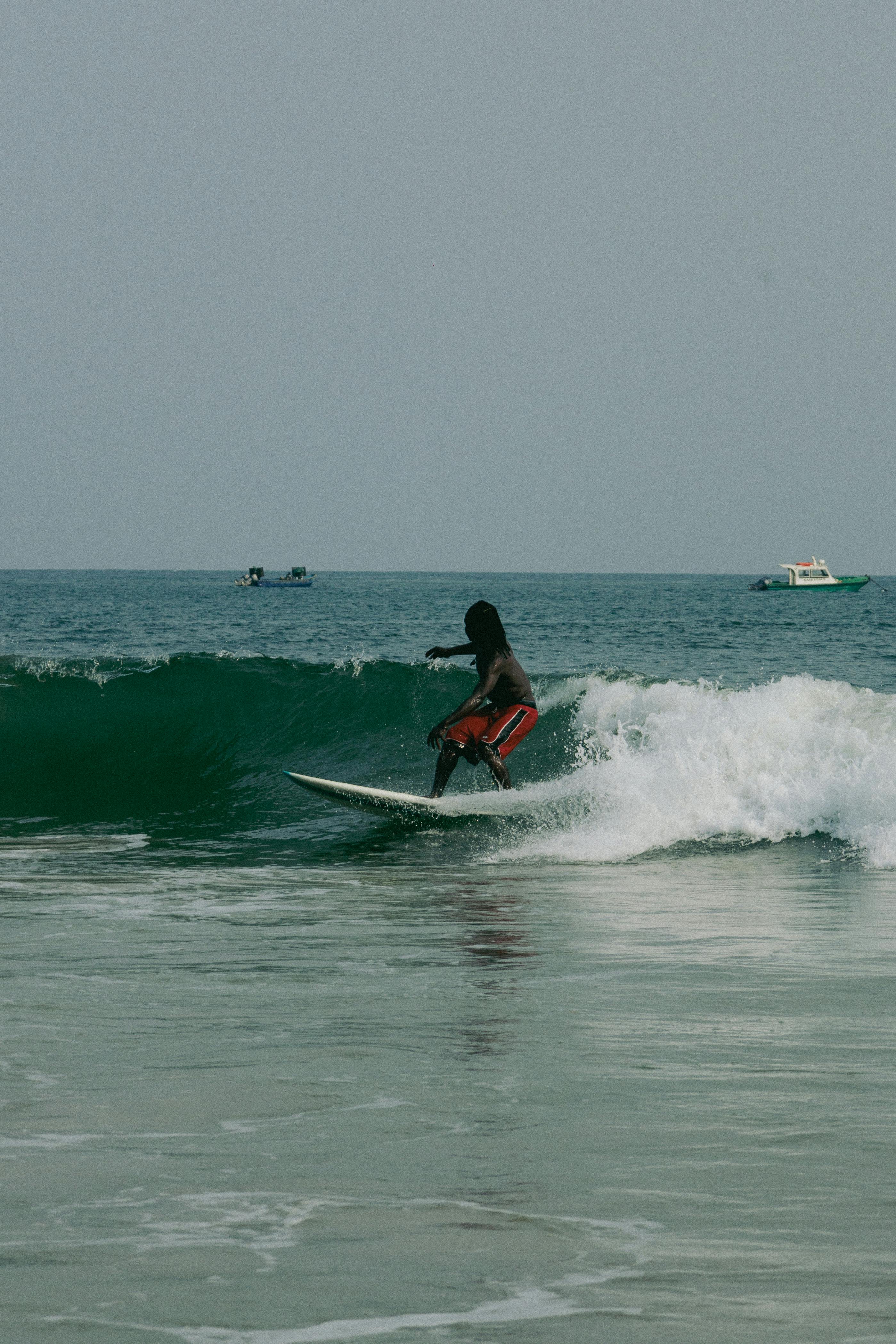 Fondo de Pantalla de pexels_30493368.jpg