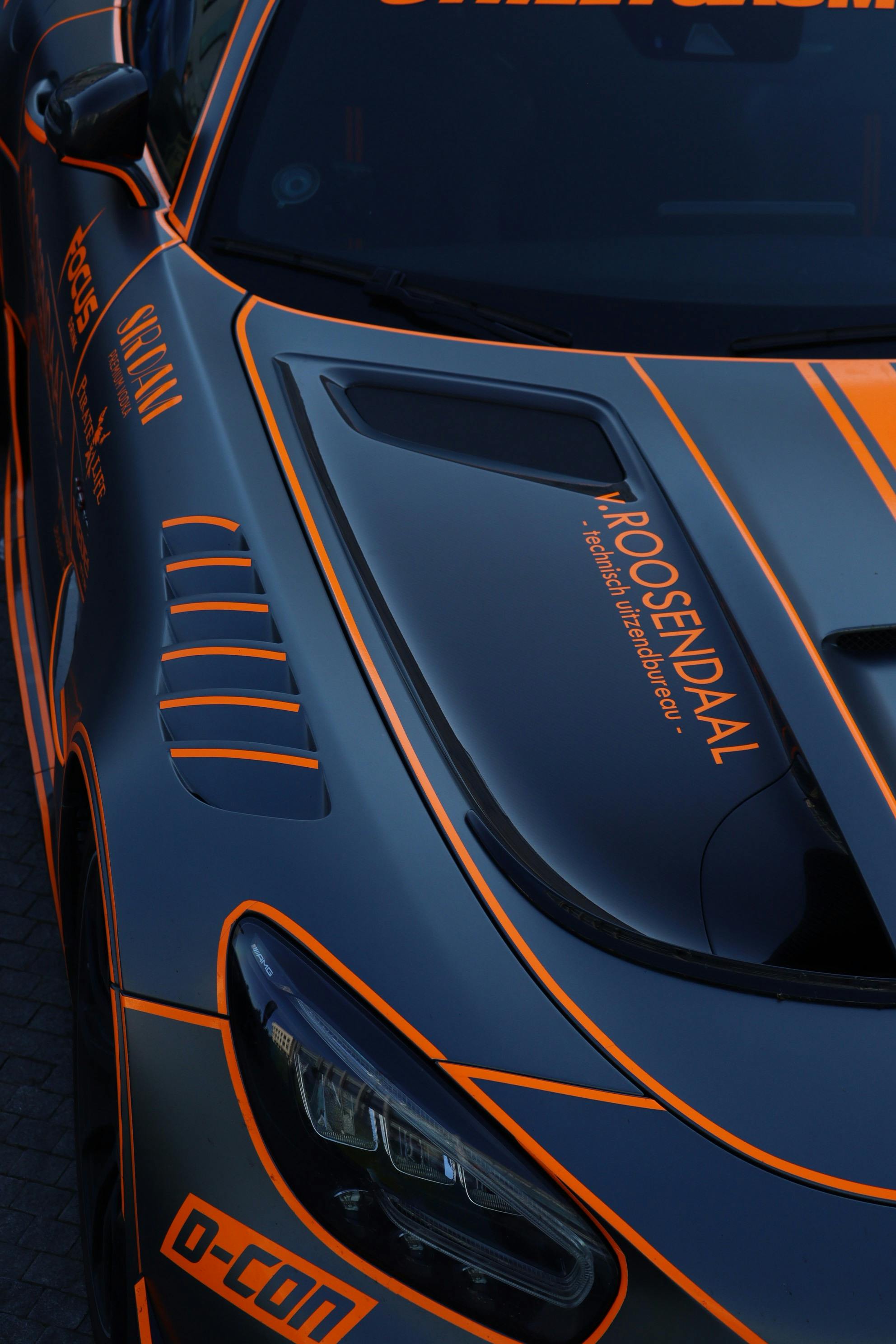 Fondo de Pantalla de pexels_30508920.jpg