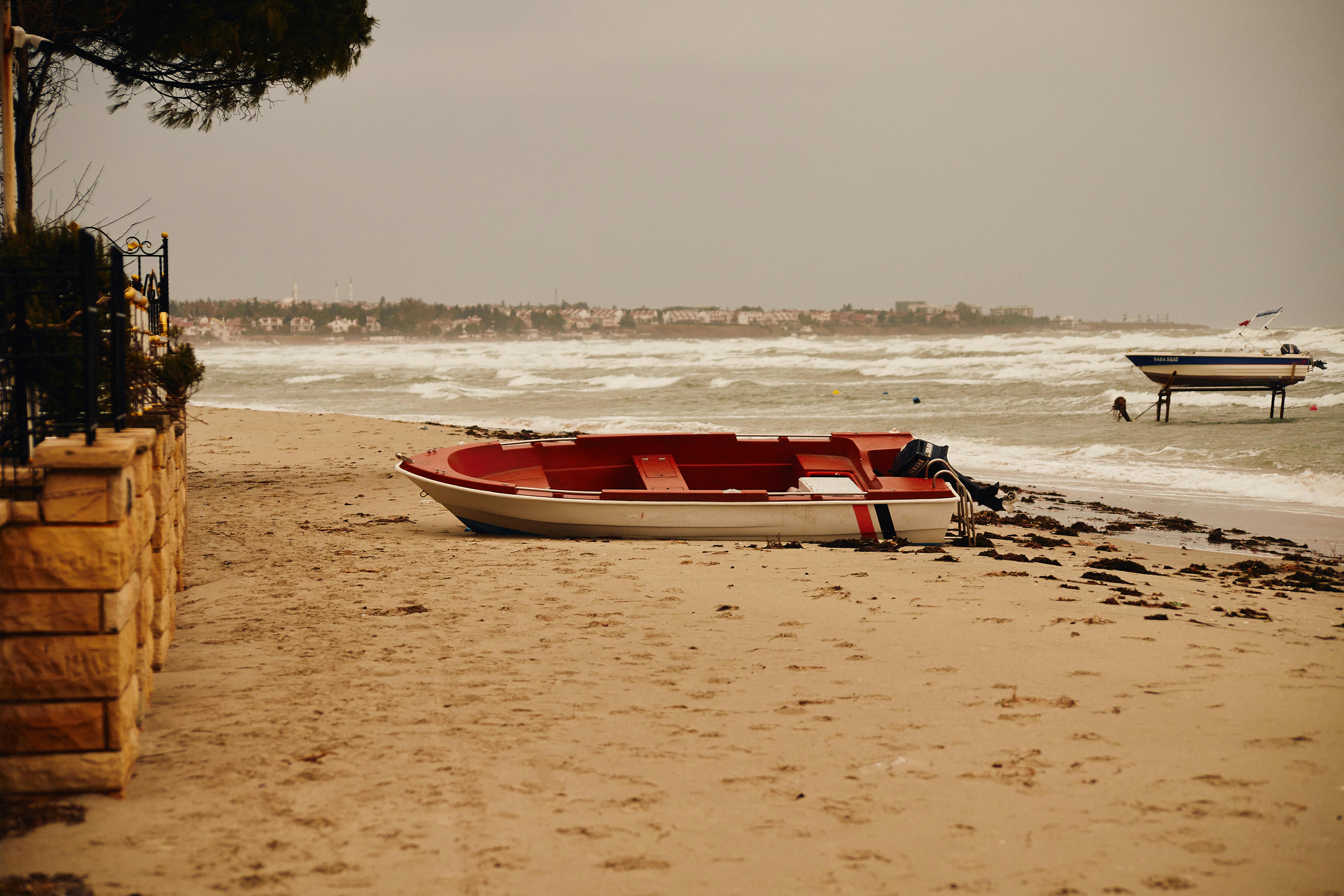 Fondo de Pantalla de pexels_30536585.jpg