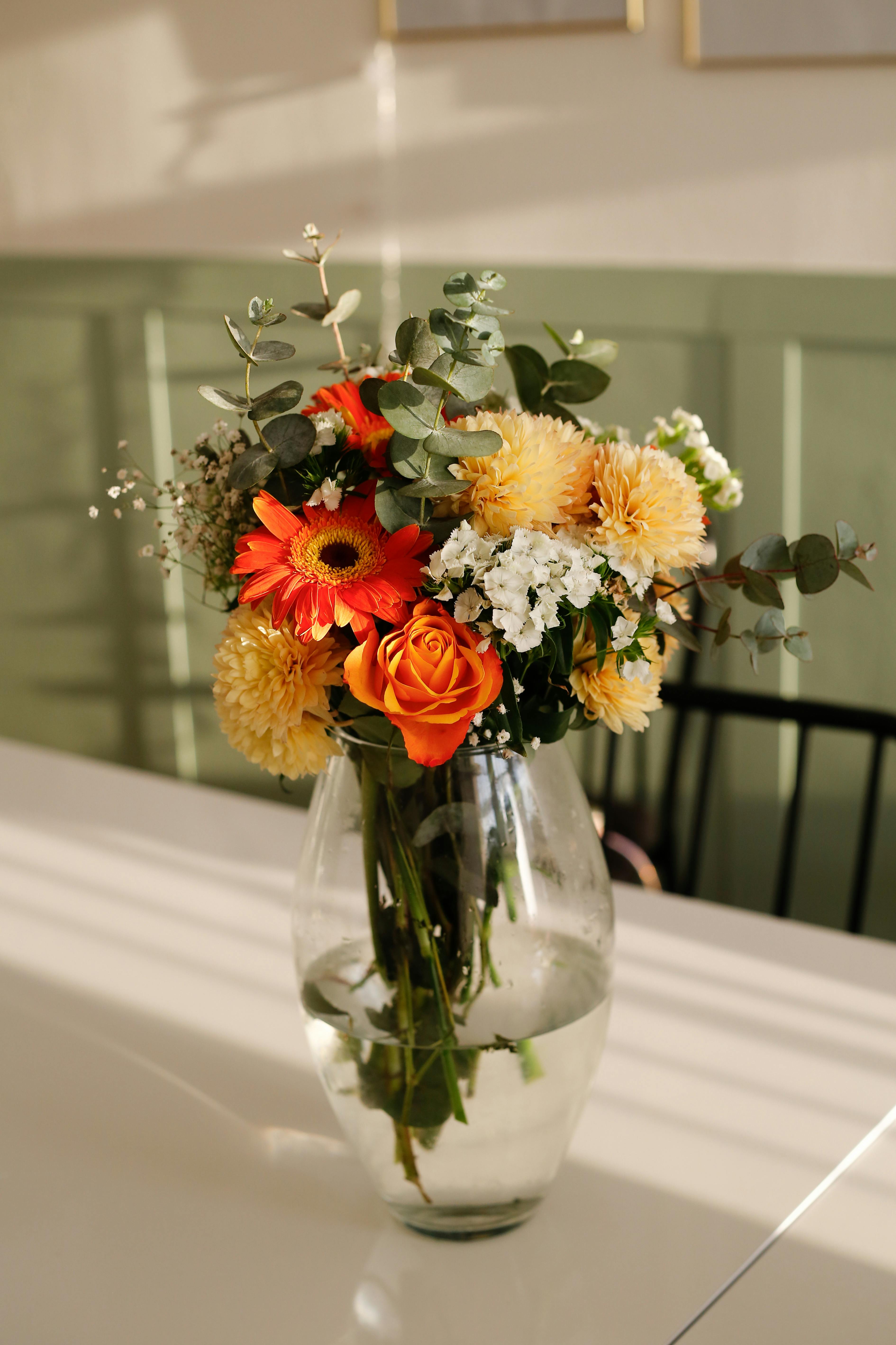 Fondo de Pantalla de pexels_30542950.jpg