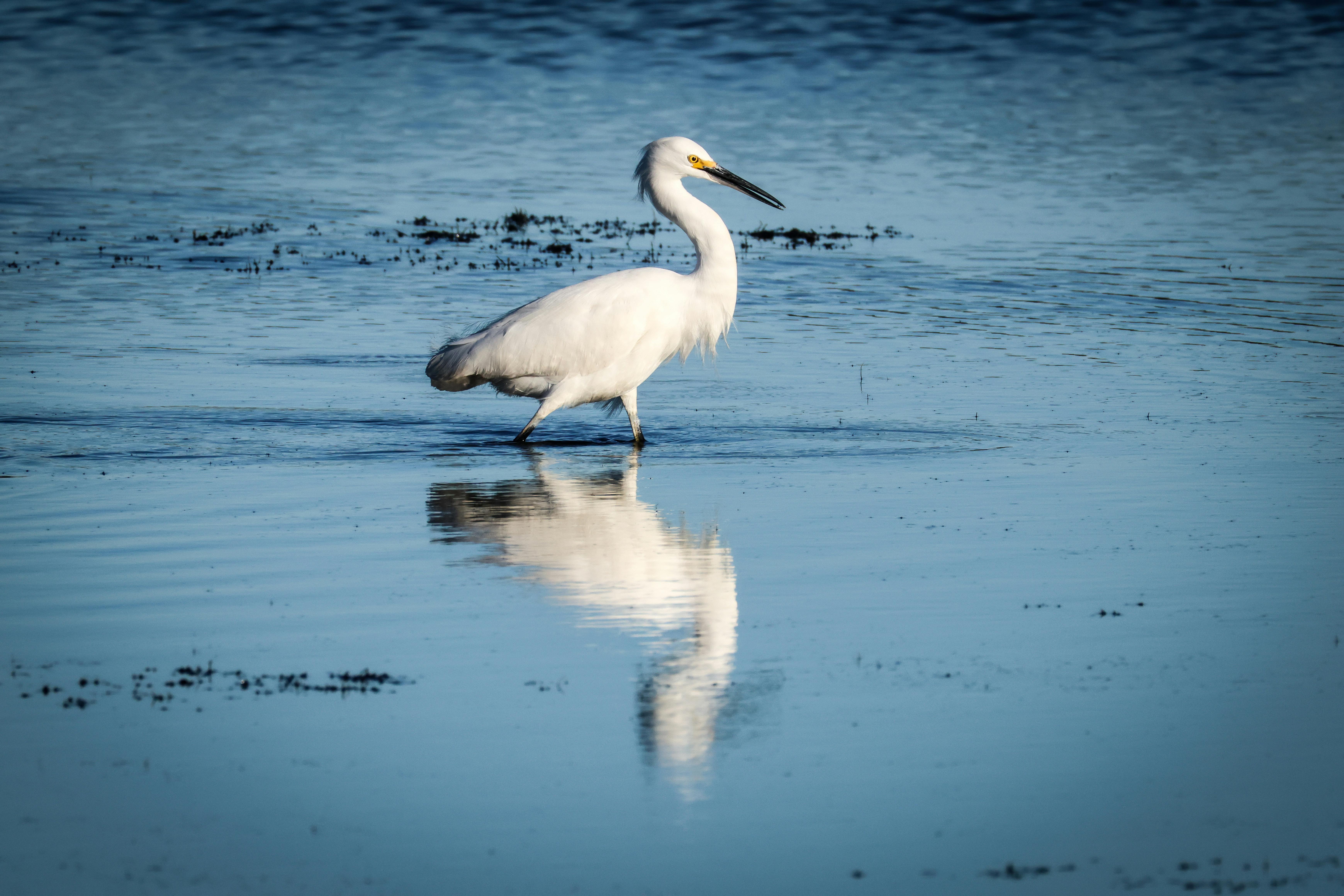 Fondo de Pantalla de pexels_30569950.jpg