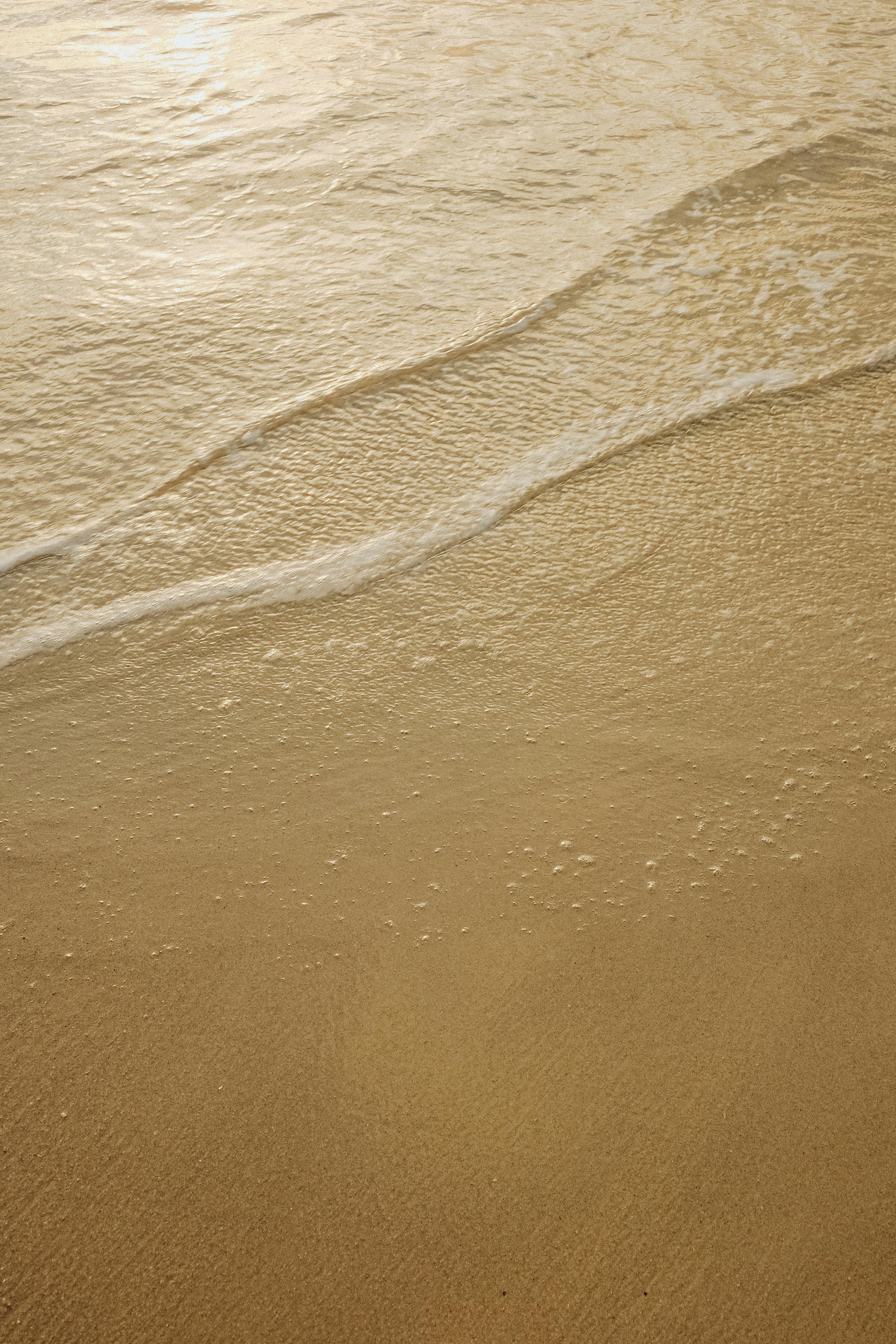 Fondo de Pantalla de pexels_30595600.jpg