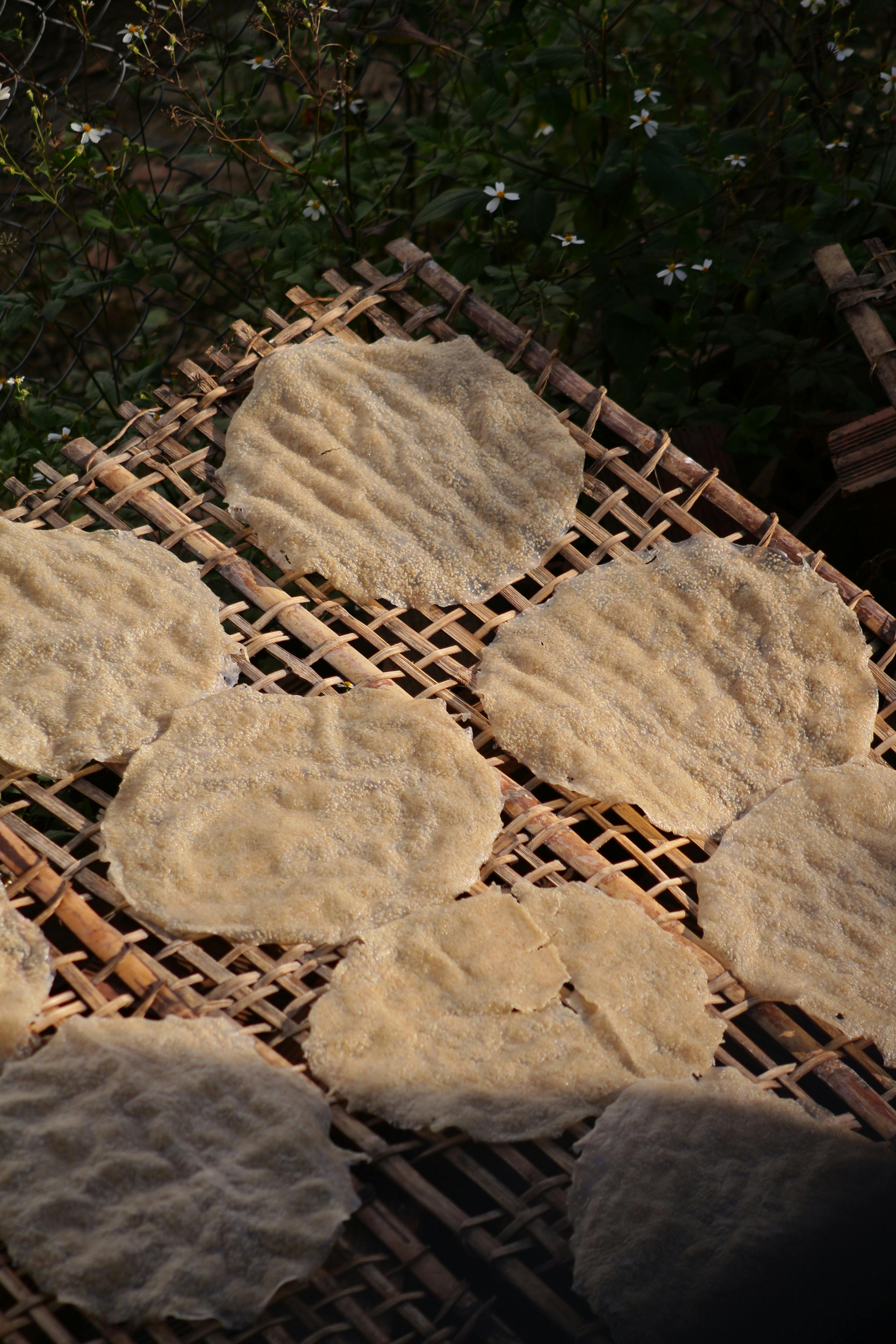 Fondo de Pantalla de pexels_30606597.jpg