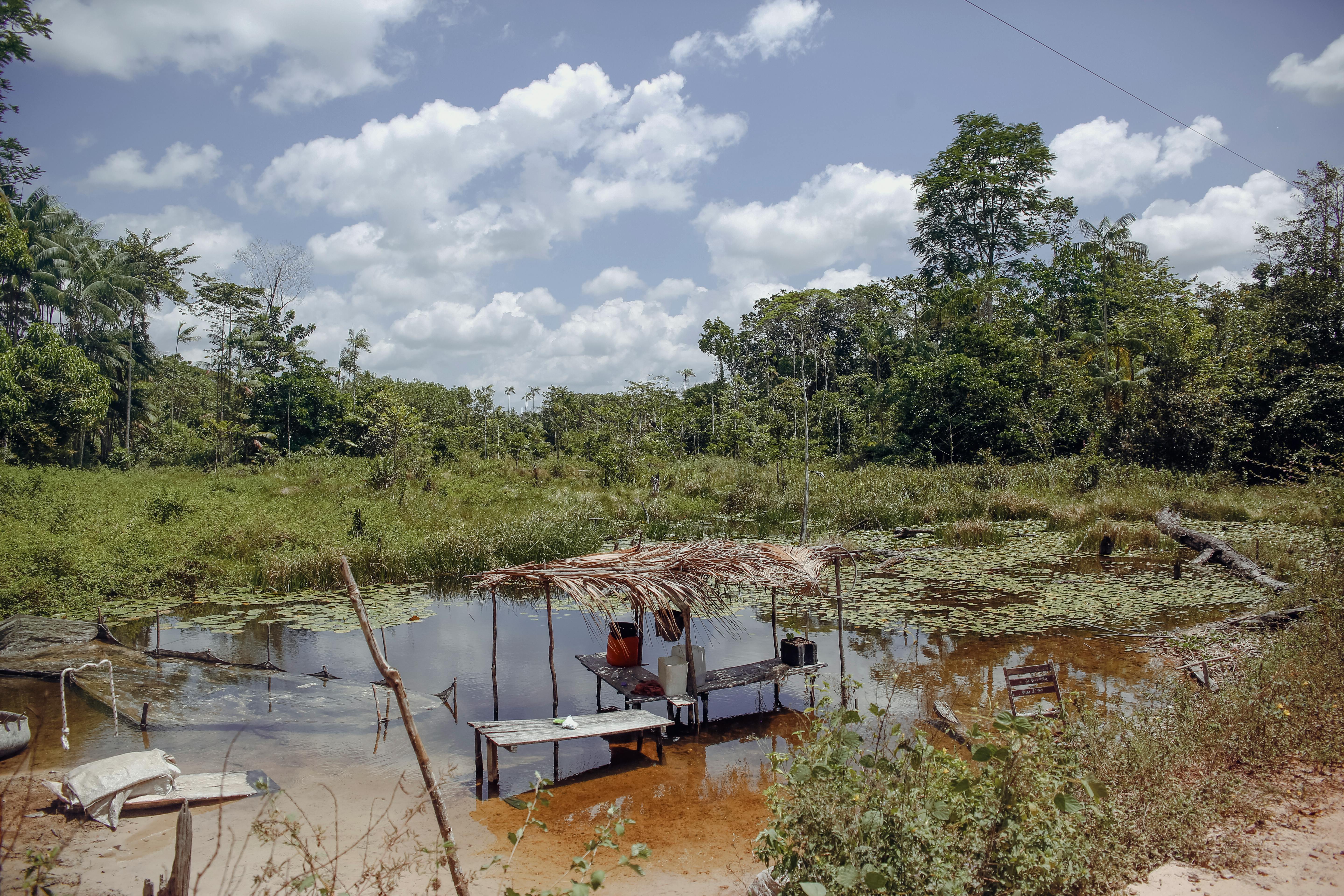 Fondo de Pantalla de pexels_30619294.jpg