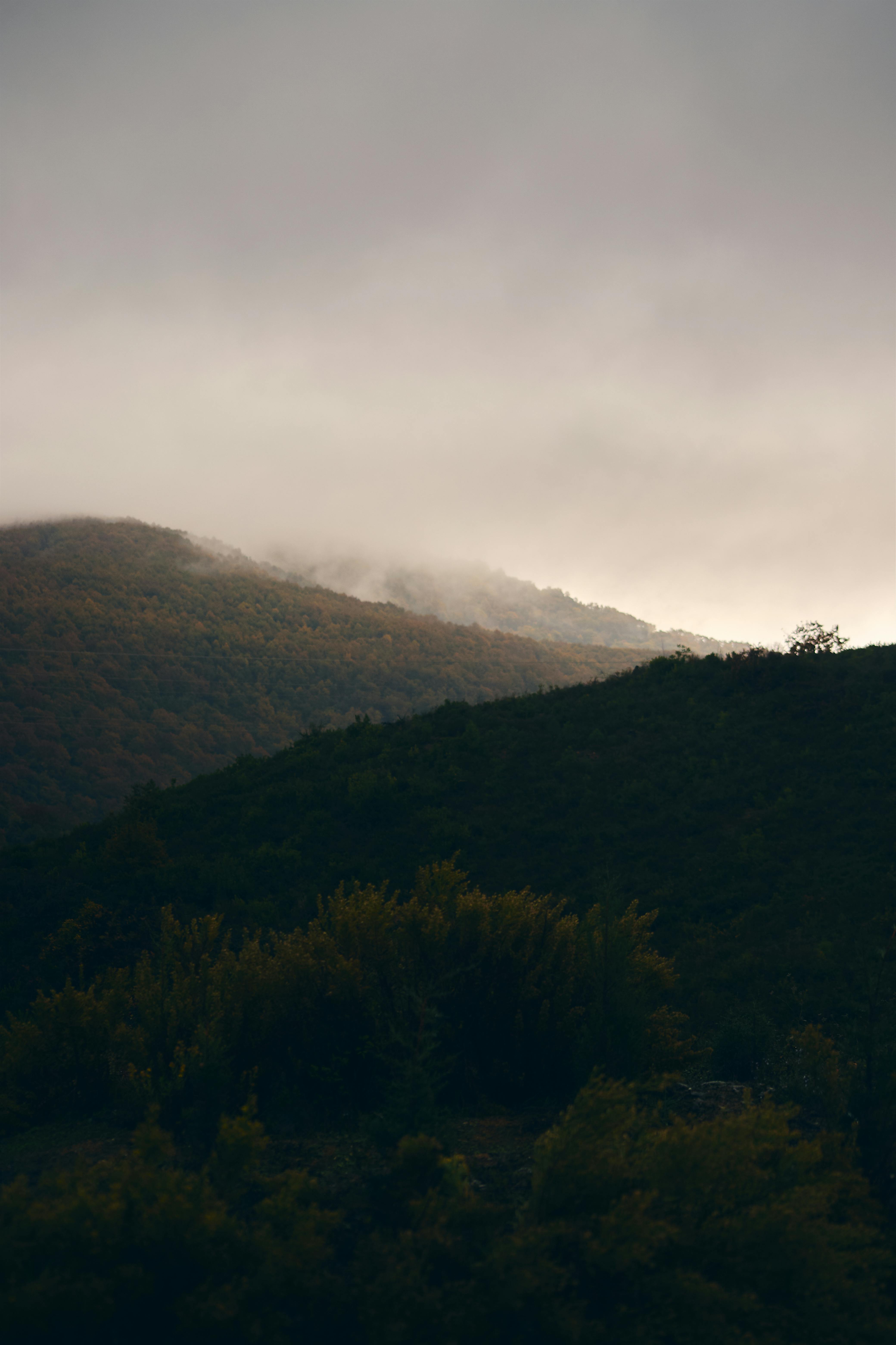 Fondo de Pantalla de pexels_30667857.jpg