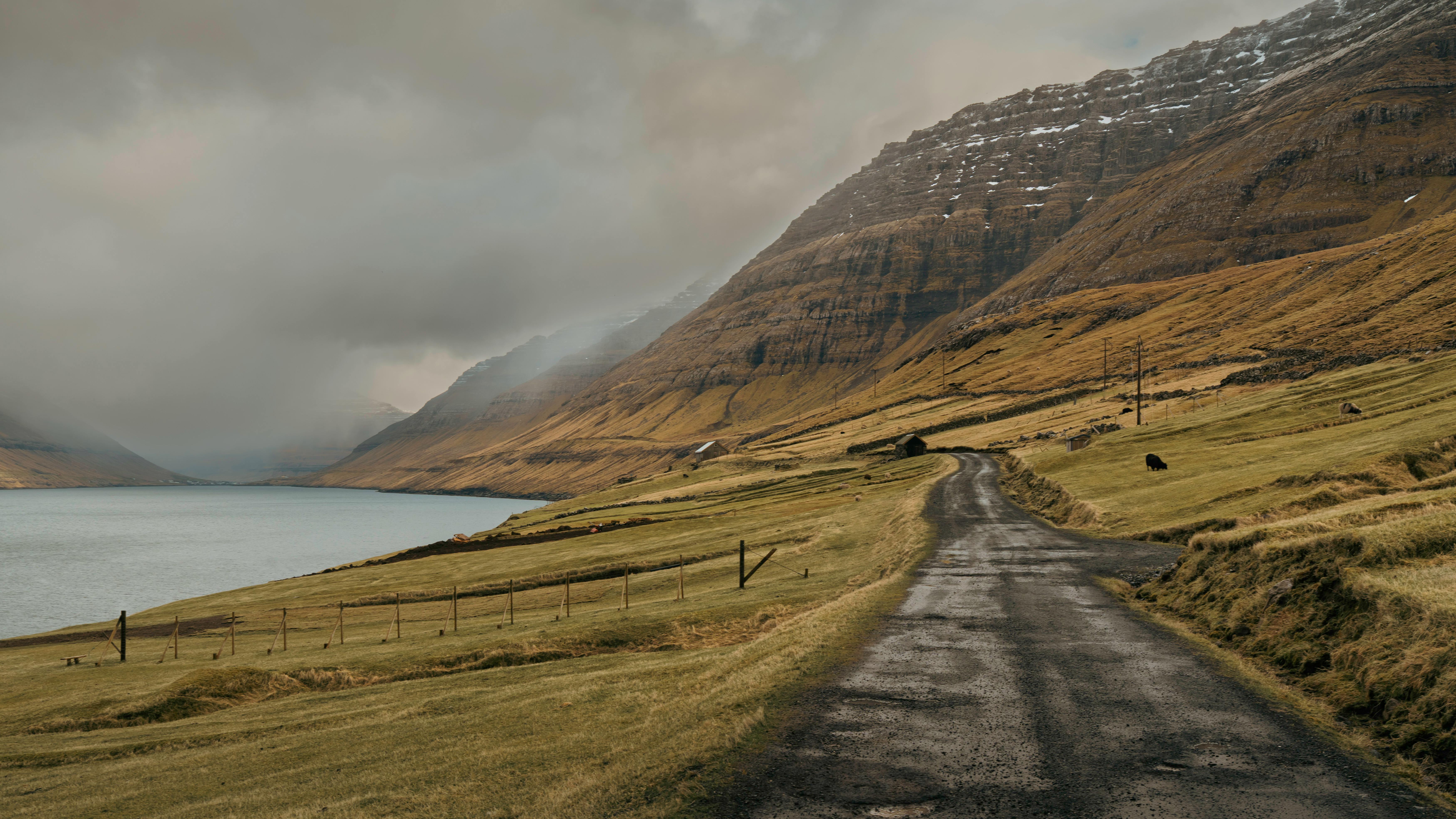 Fondo de Pantalla de pexels_30737388.jpg