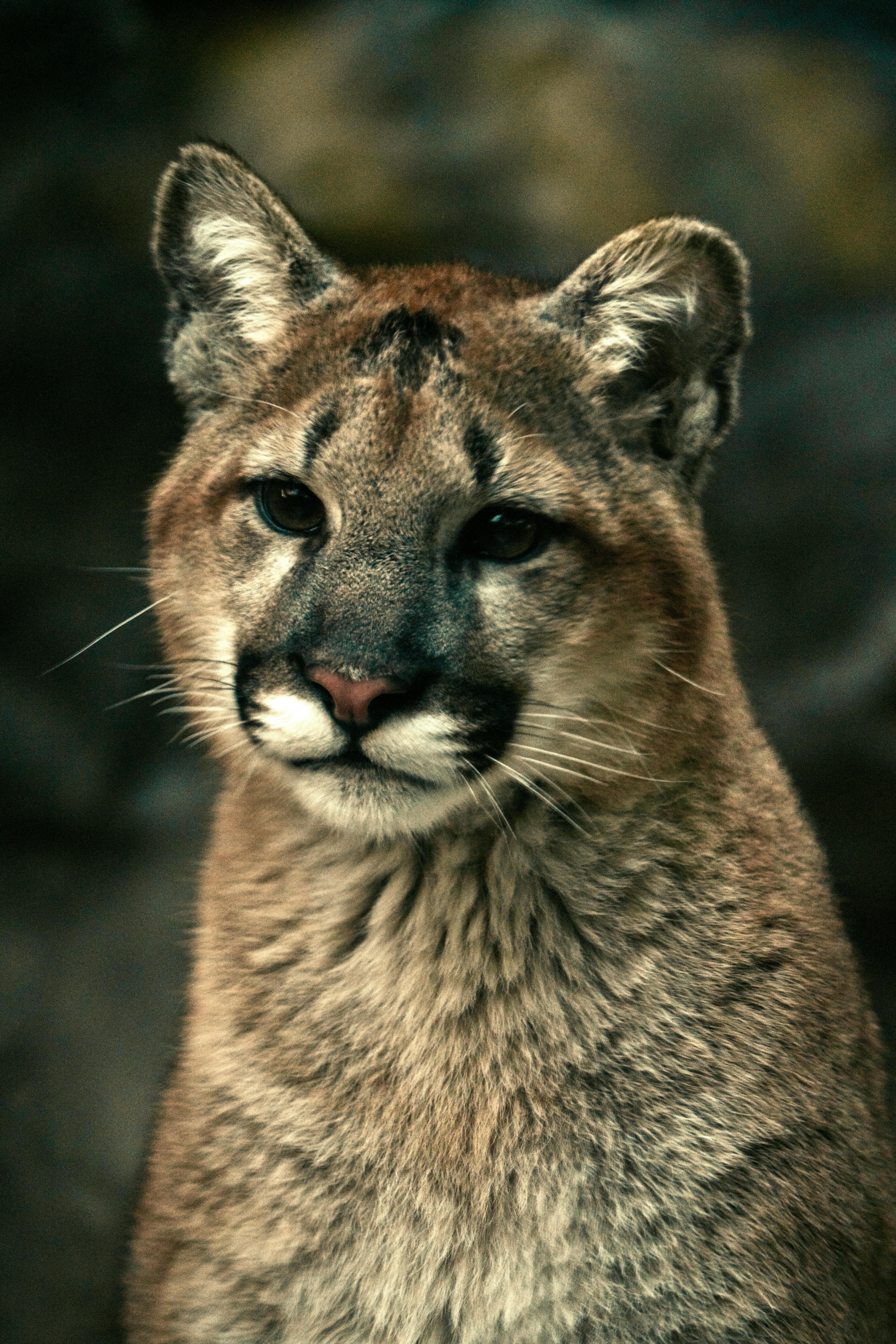 Fondo de Pantalla de pexels_30802991.jpg