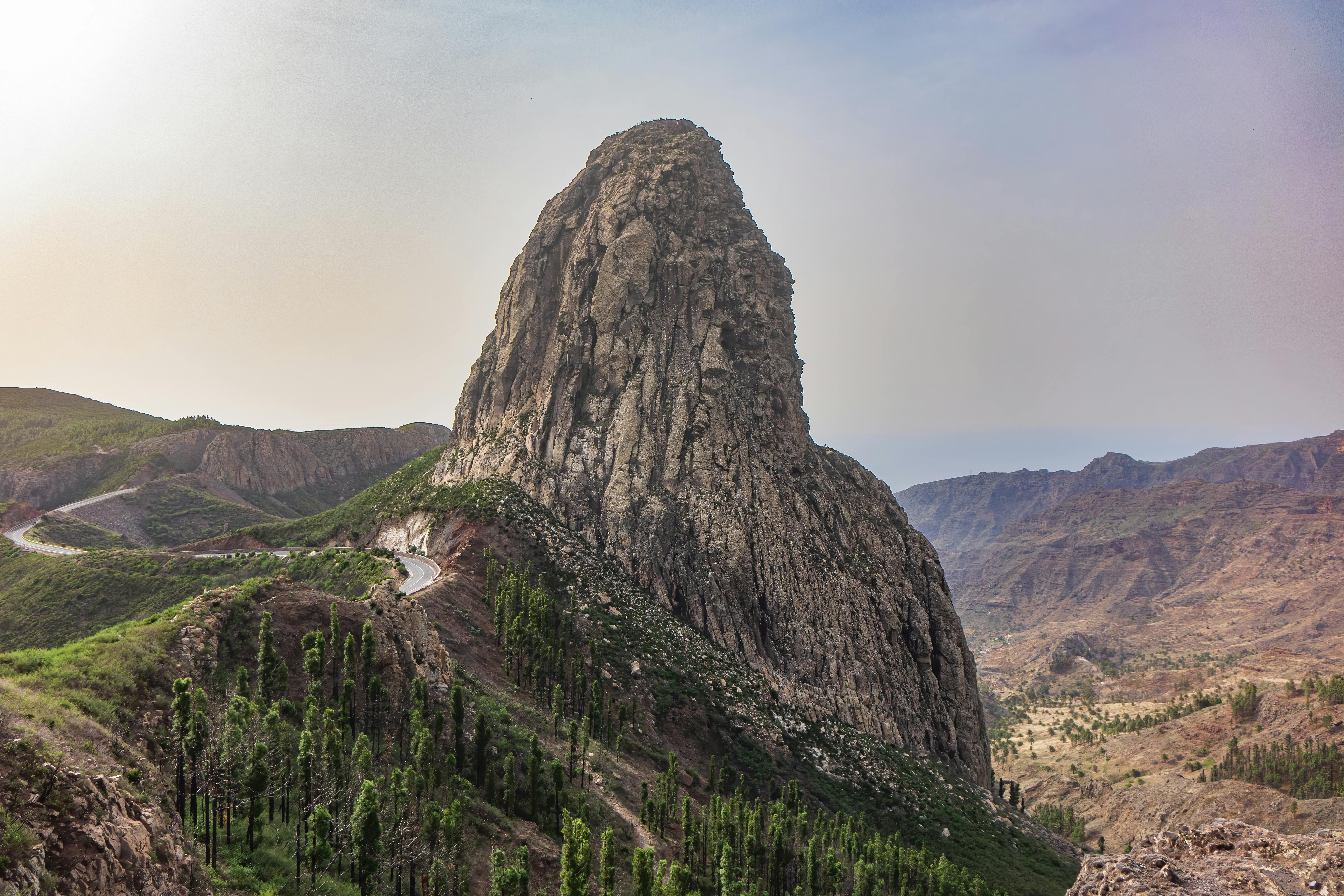 Fondo de Pantalla de pexels_6688919.jpg