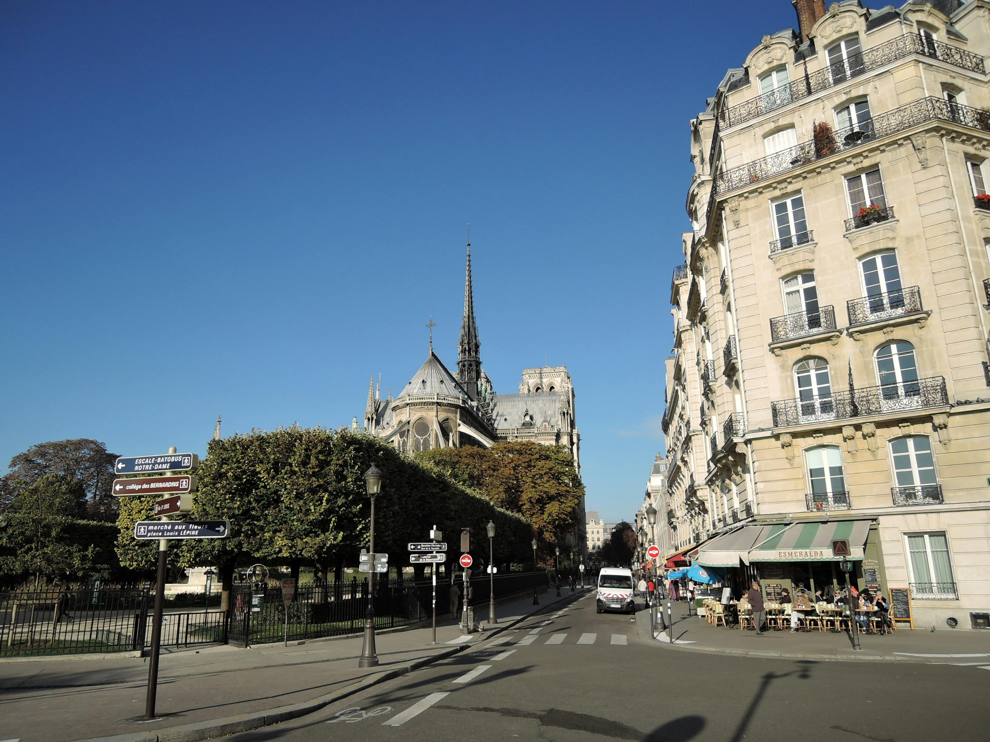 Escena callejera parisina con la catedral de Notre-Dame y un café al aire libre