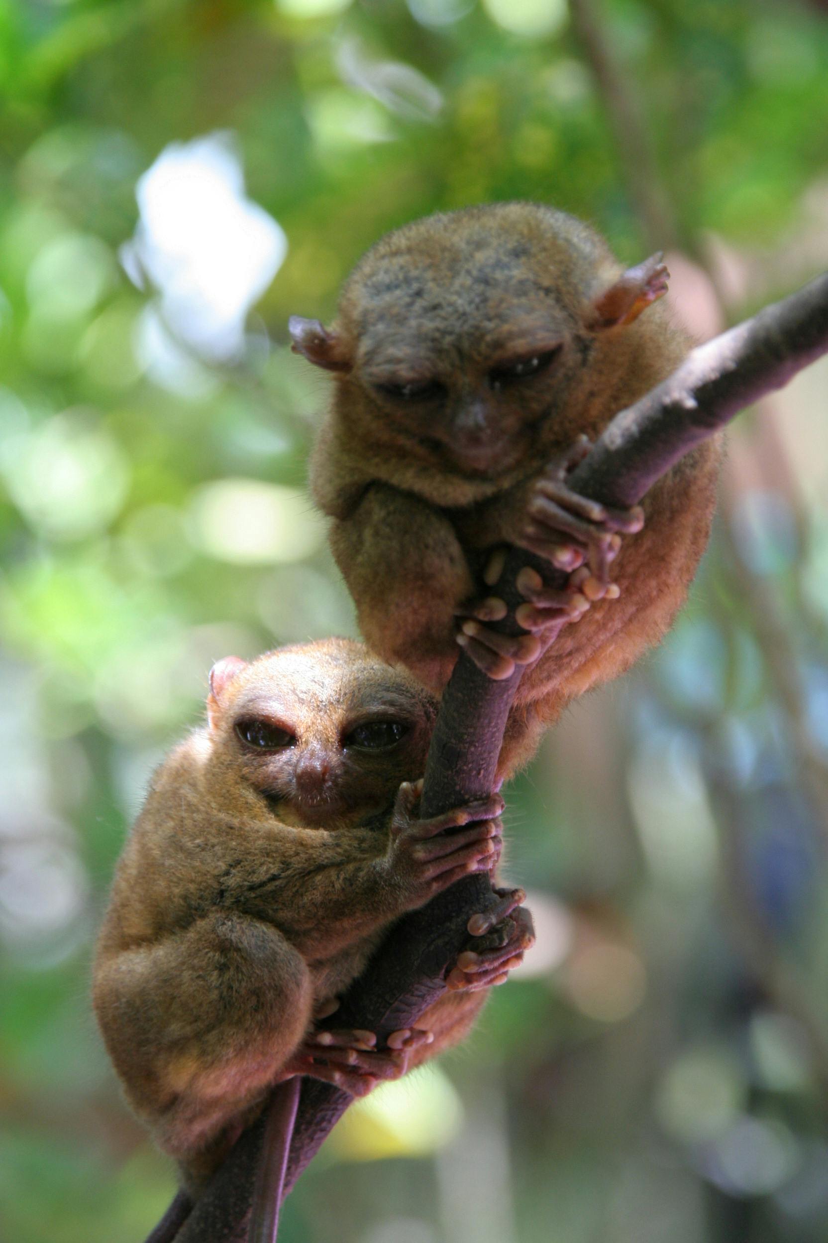 Fondo de Pantalla de pexels_8437661.jpg