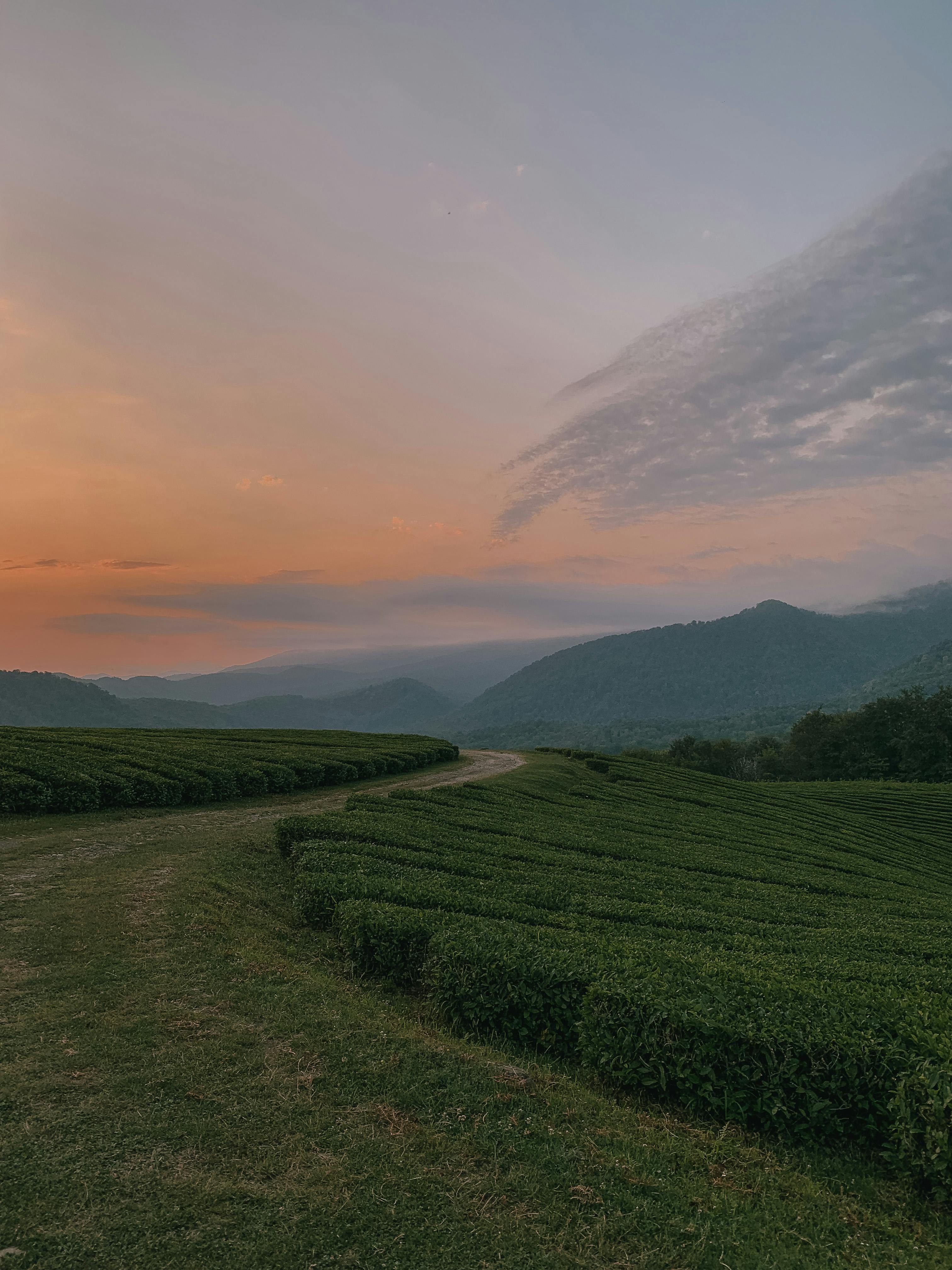 Fondo de Pantalla de pexels_8537885.jpg