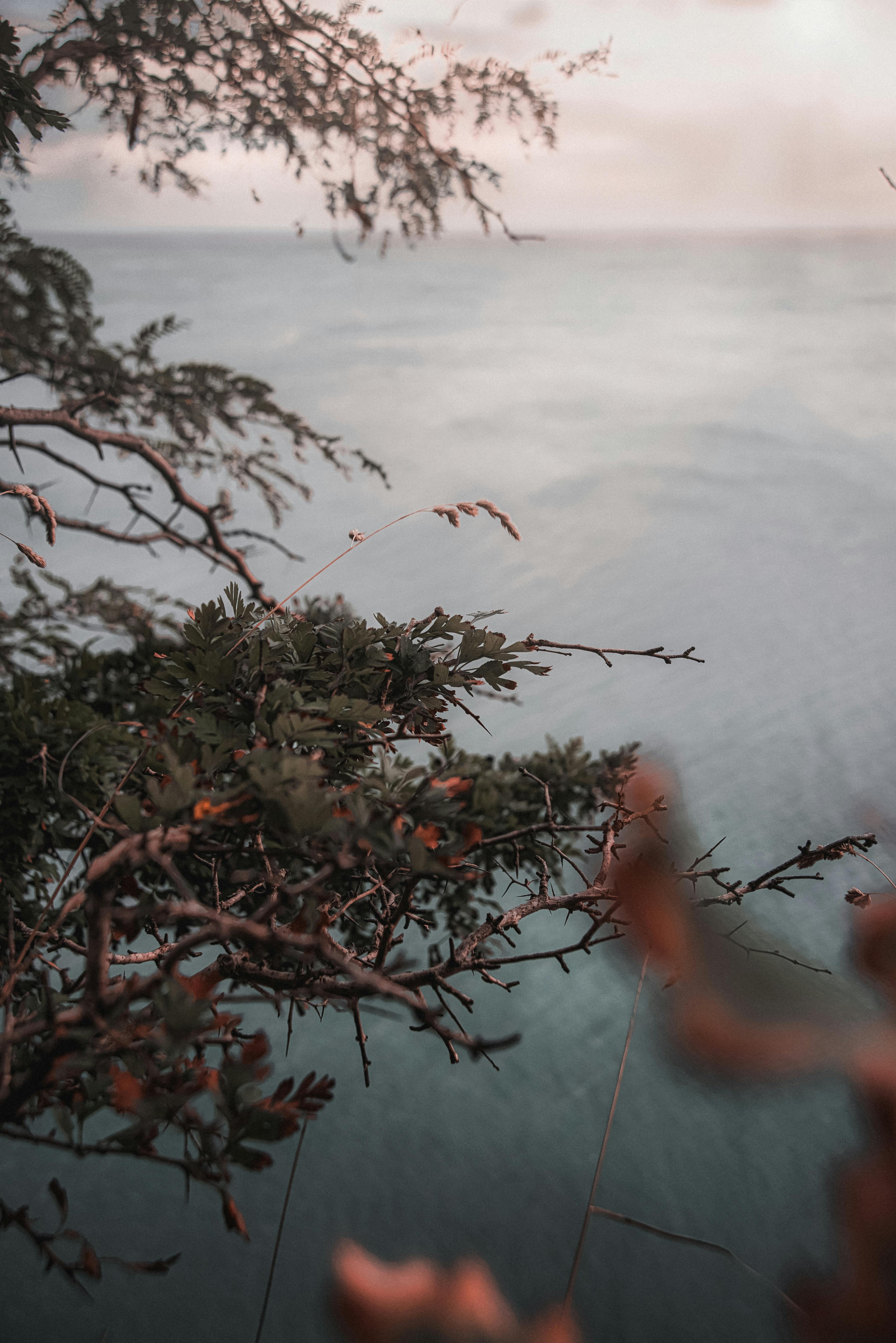 Fondo de Pantalla de pexels_9812076.jpg