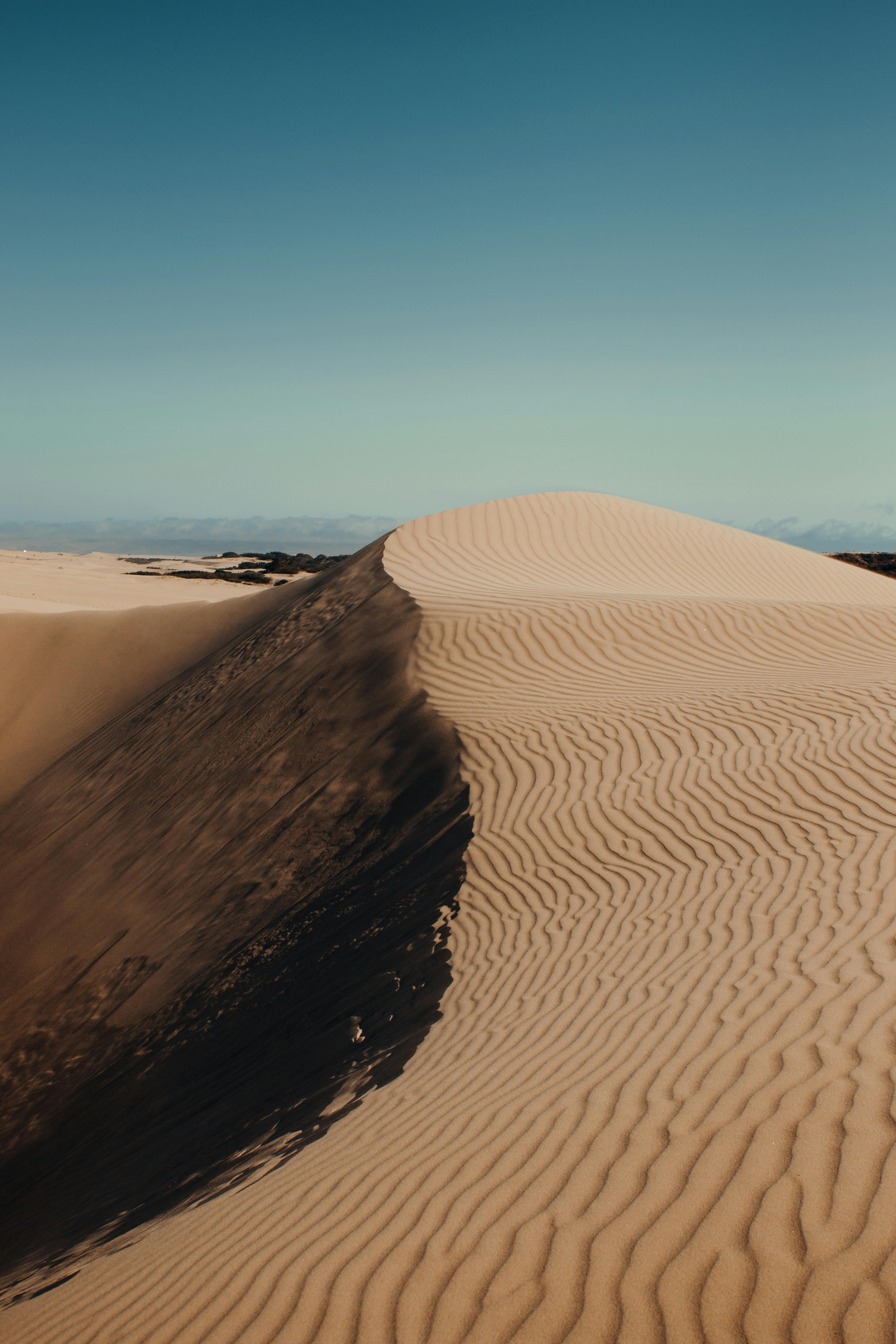 Fondo de Pantalla de pexels_9968067.jpg