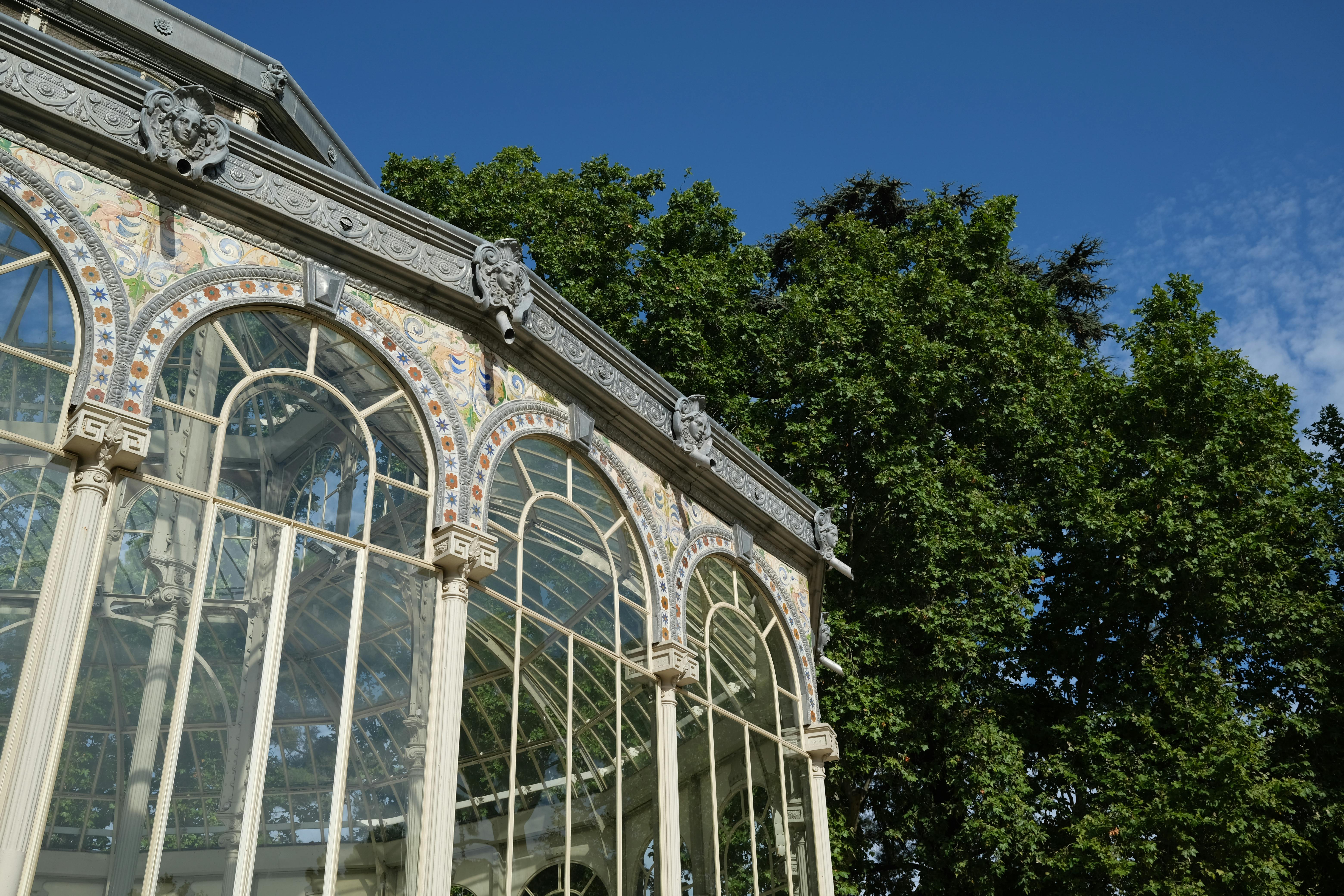 Fondo de Pantalla de pexels_9989501.jpg