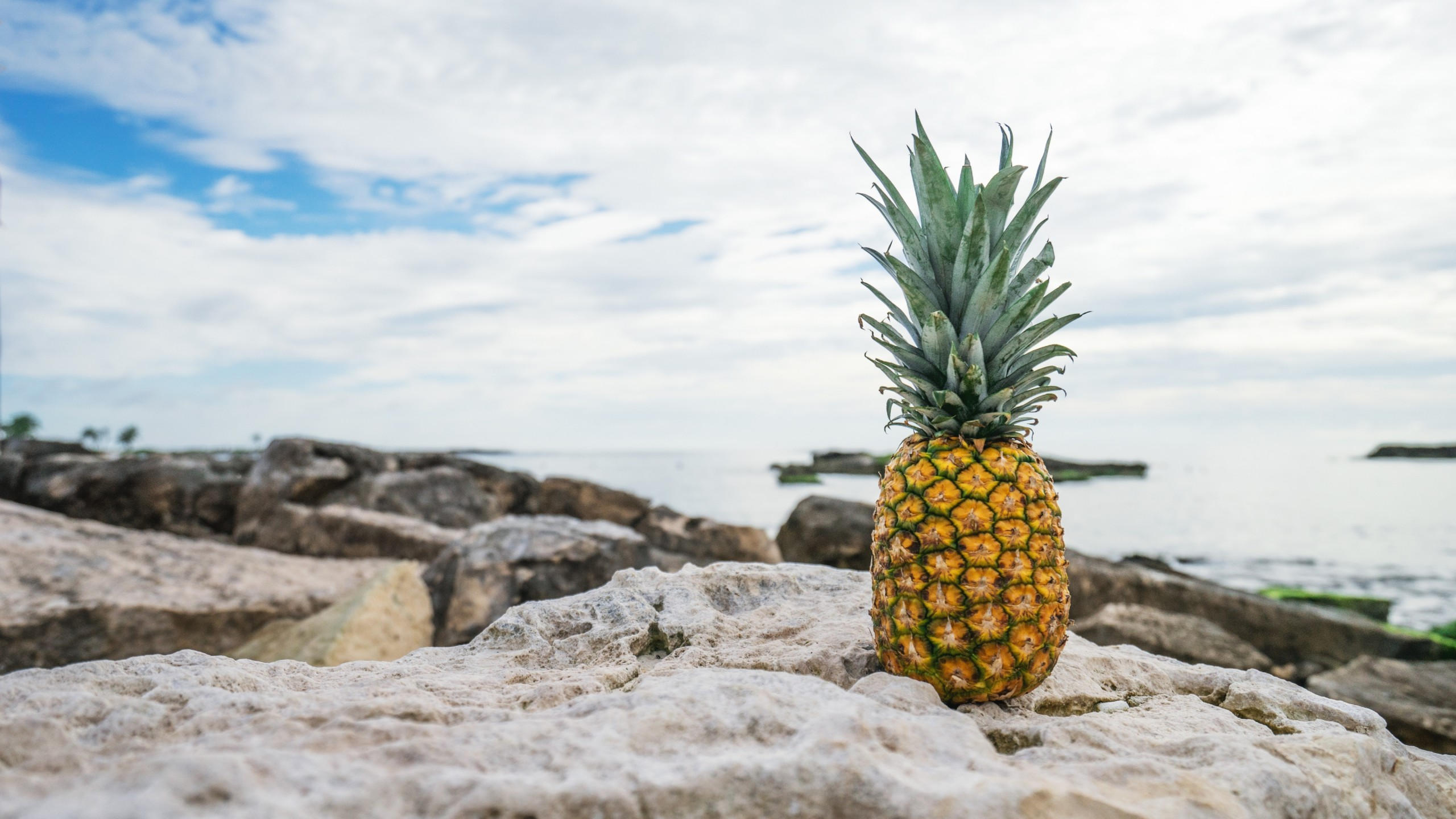 Pineapple 2560x1440 fruit stones beach 4k