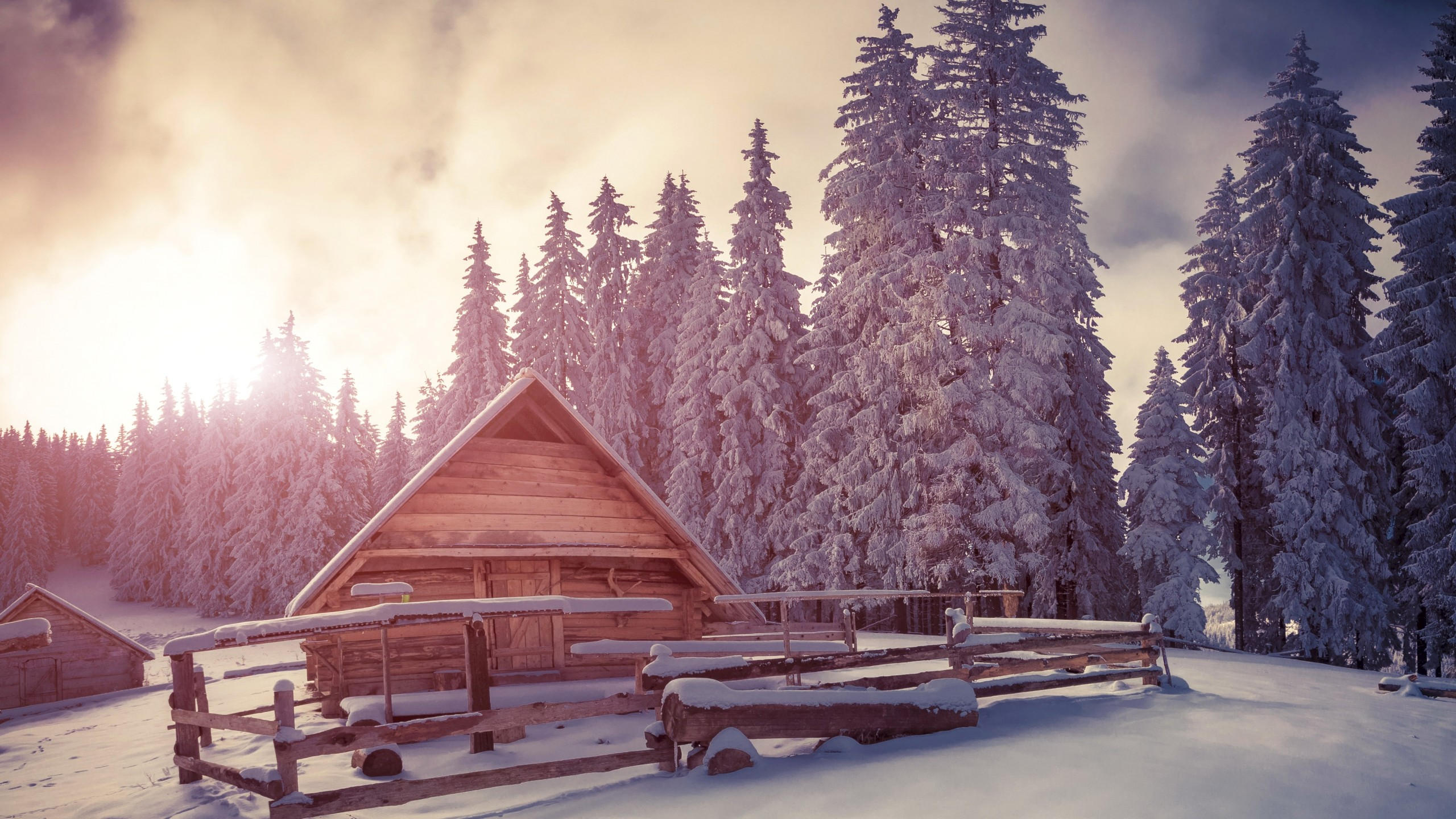 Pines 2560x1440 4k hd wallpaper snow sunset house
