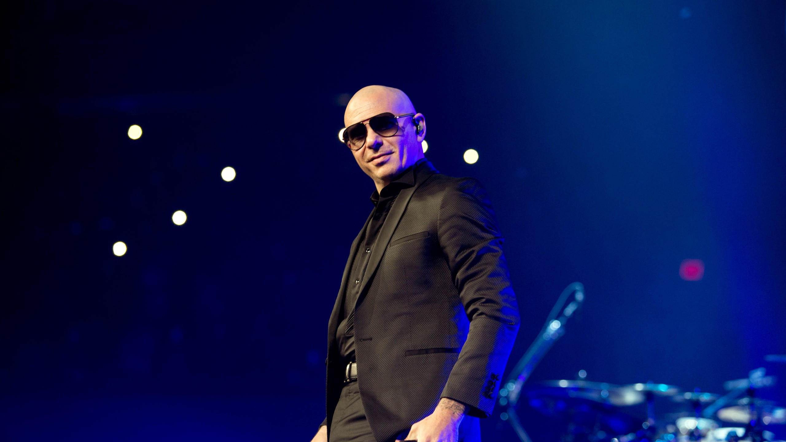 Pitbull 2560x1440 photo 5k