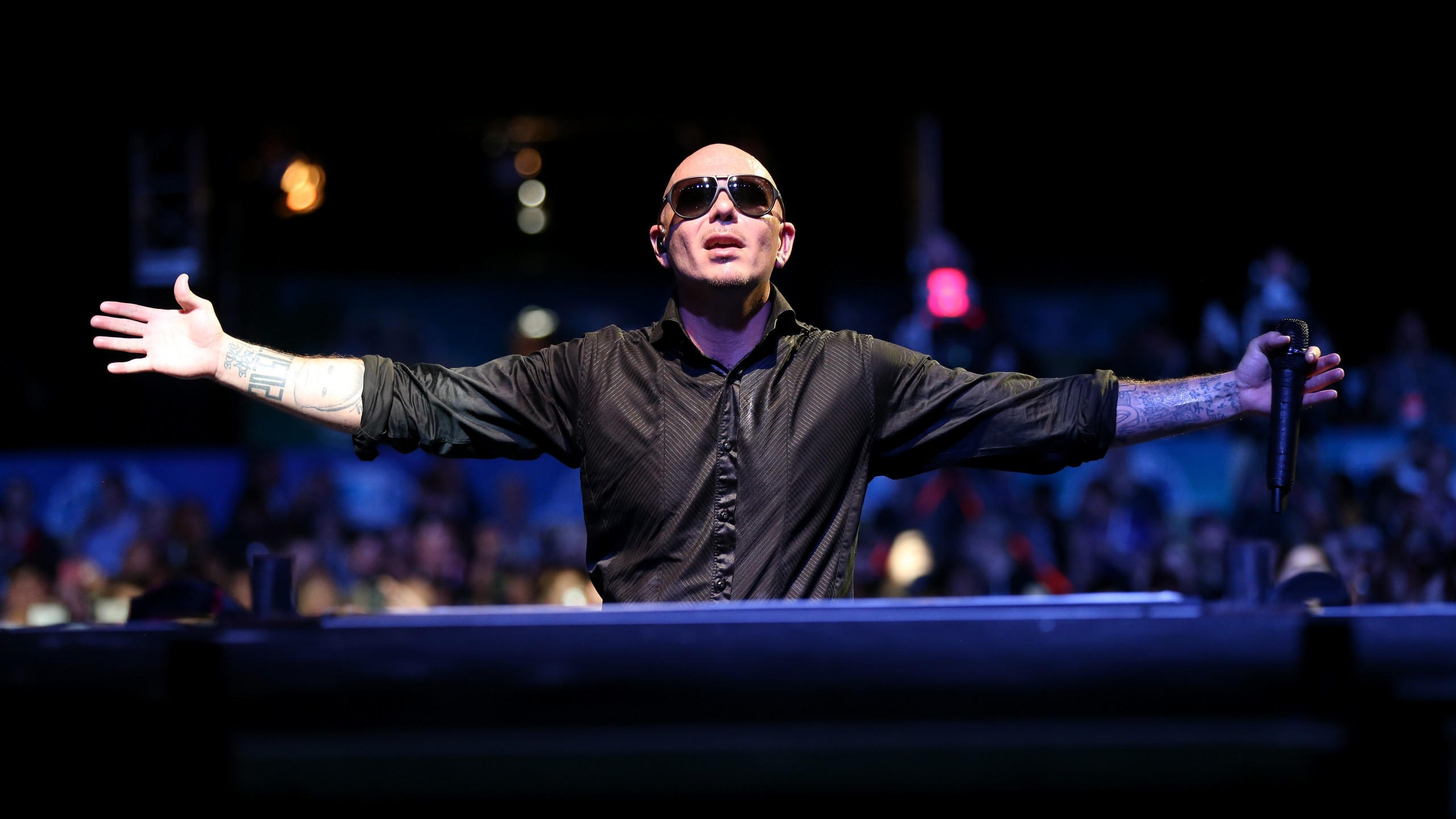 Pitbull 2560x1440 top music artist and bands singer rapper
