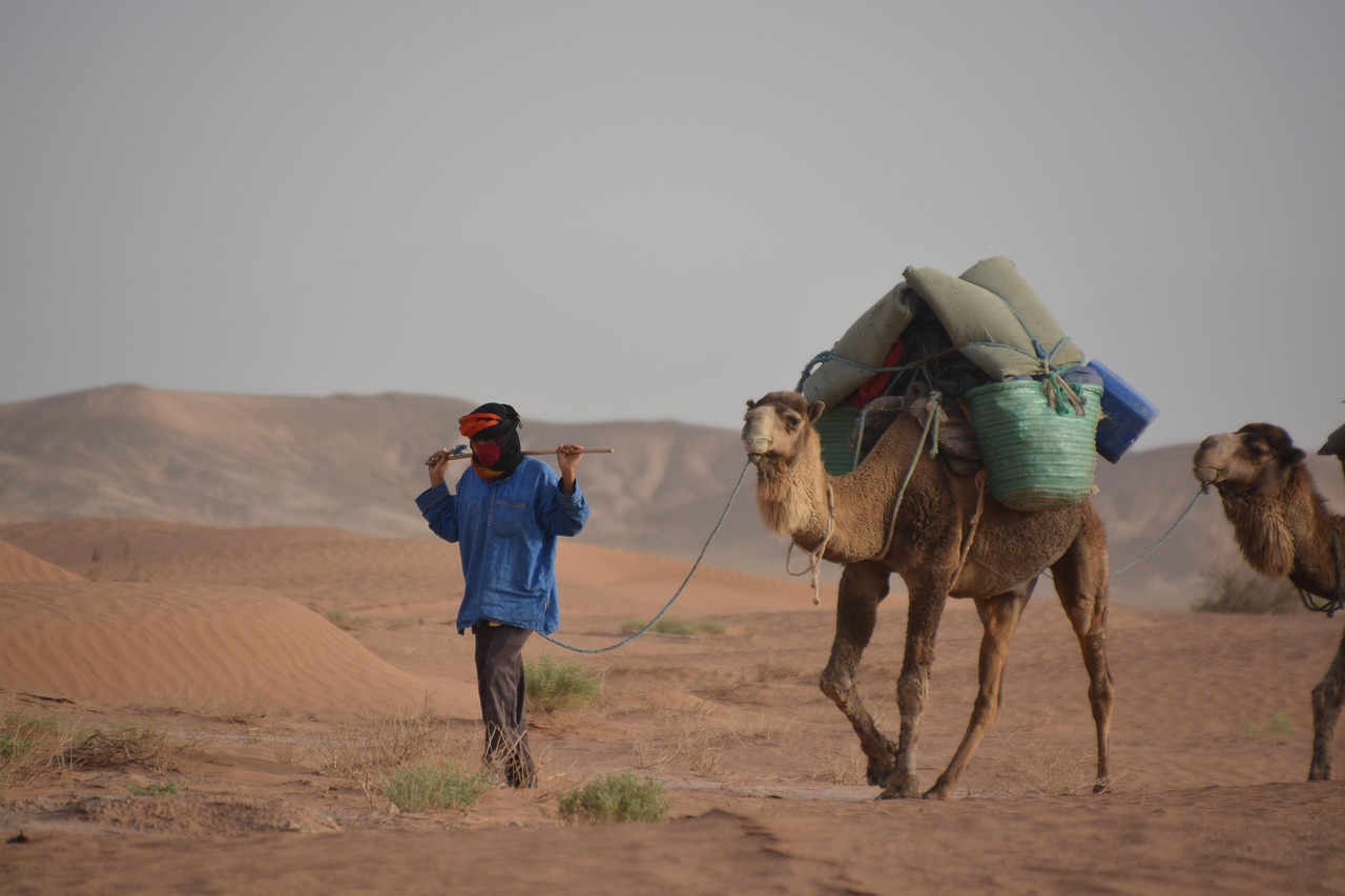 Fondo de Pantalla de pixabay_1075104.jpg