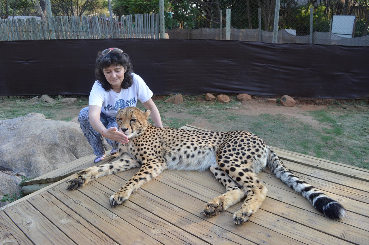 Fondo de Pantalla de pixabay_2271638.jpg