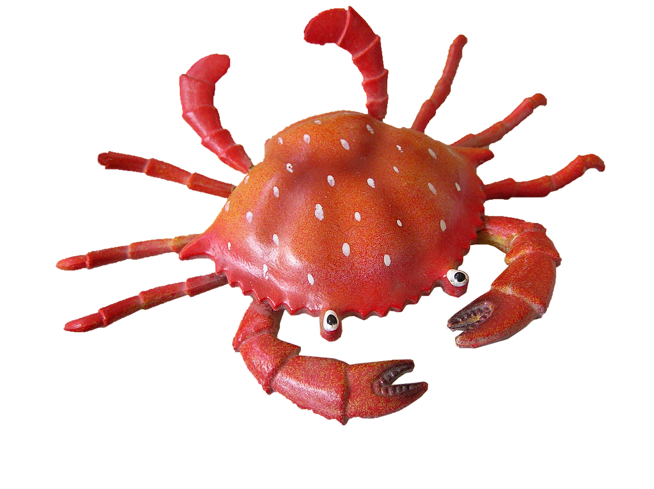 Fondo de Pantalla de pixabay_2525186.jpg