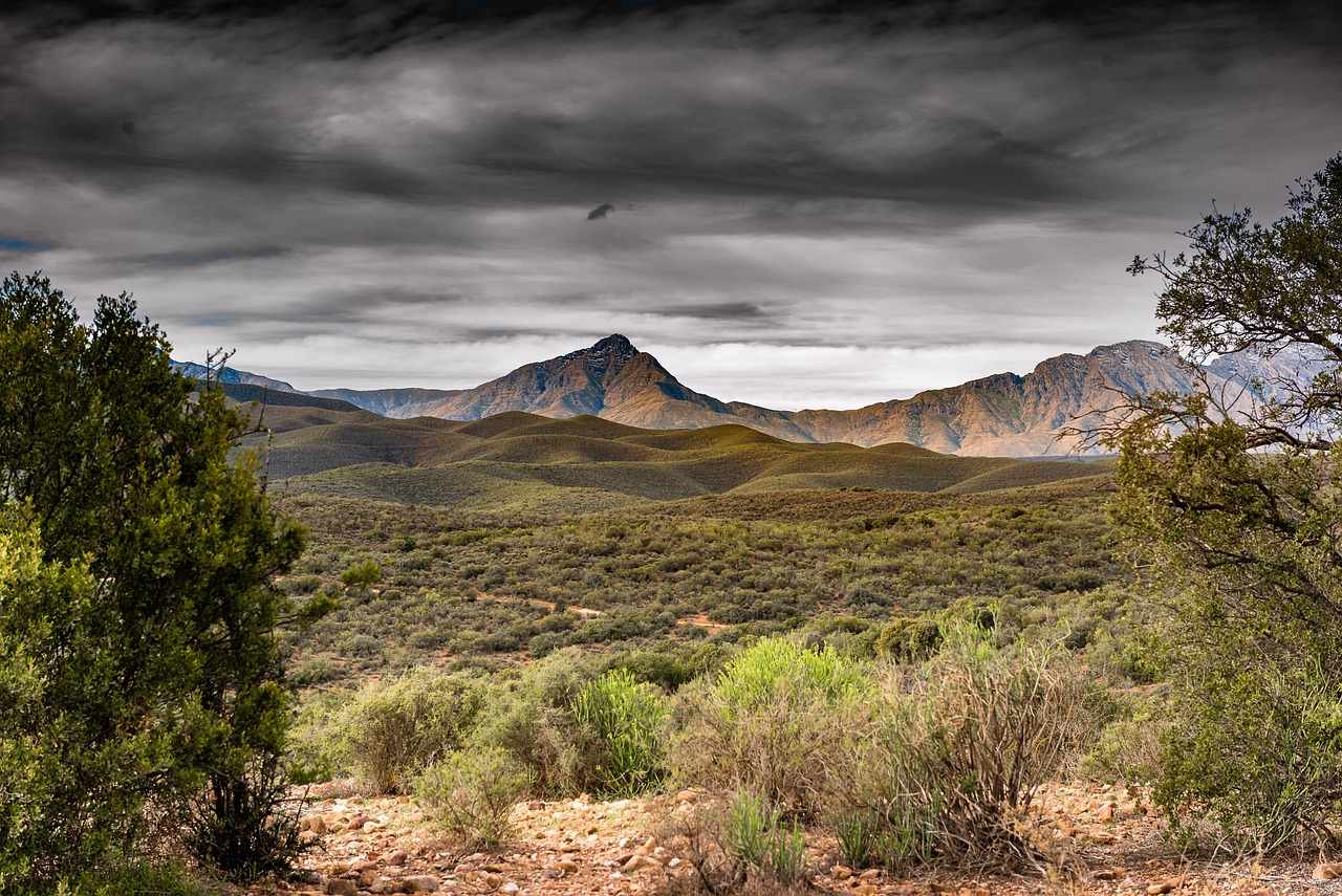 Fondo de Pantalla de pixabay_3764677.jpg