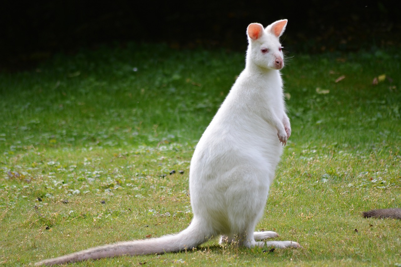 Fondo de Pantalla de pixabay_3835890.jpg