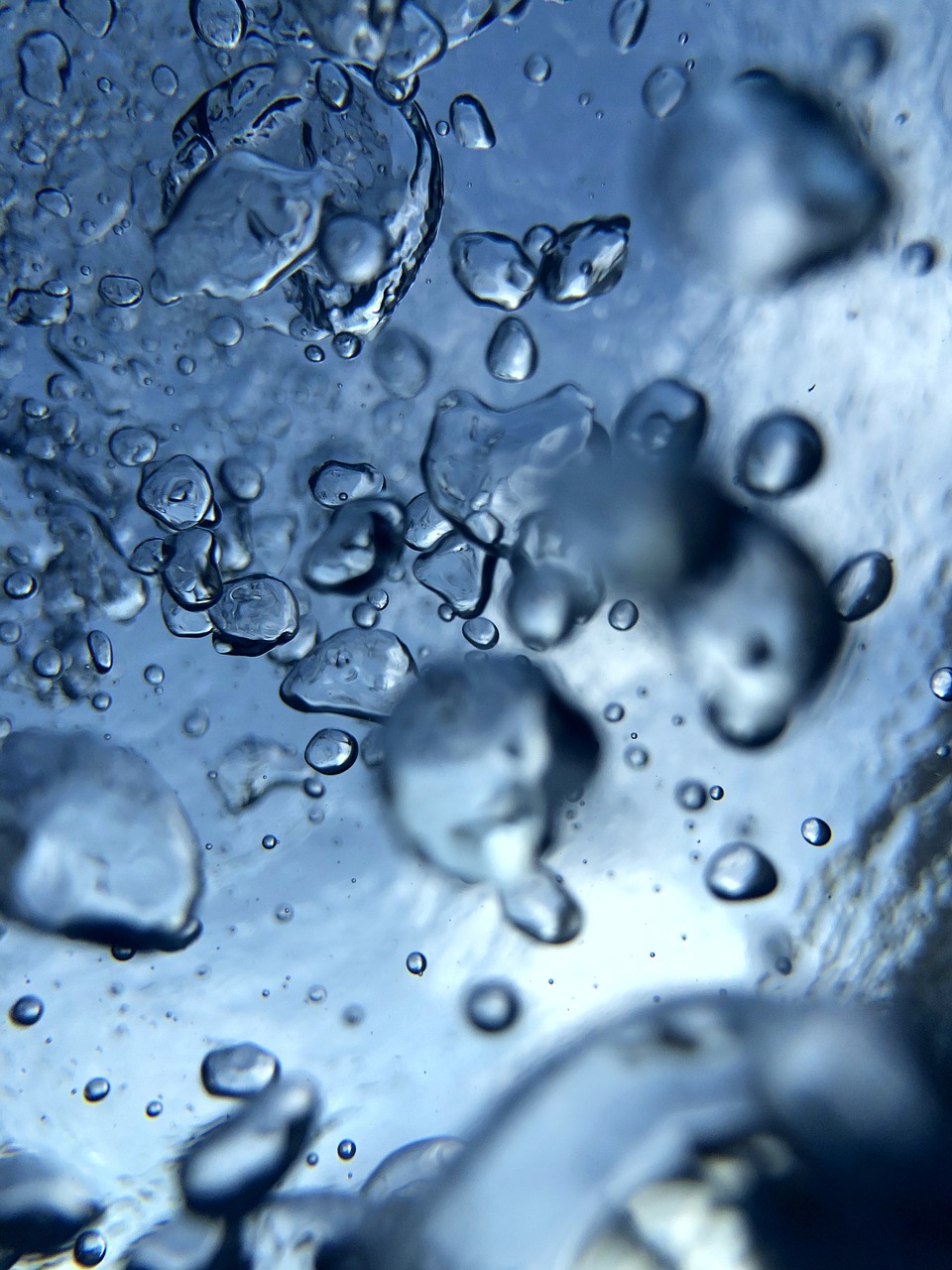 Fondo de Pantalla de pixabay_4441991.jpg