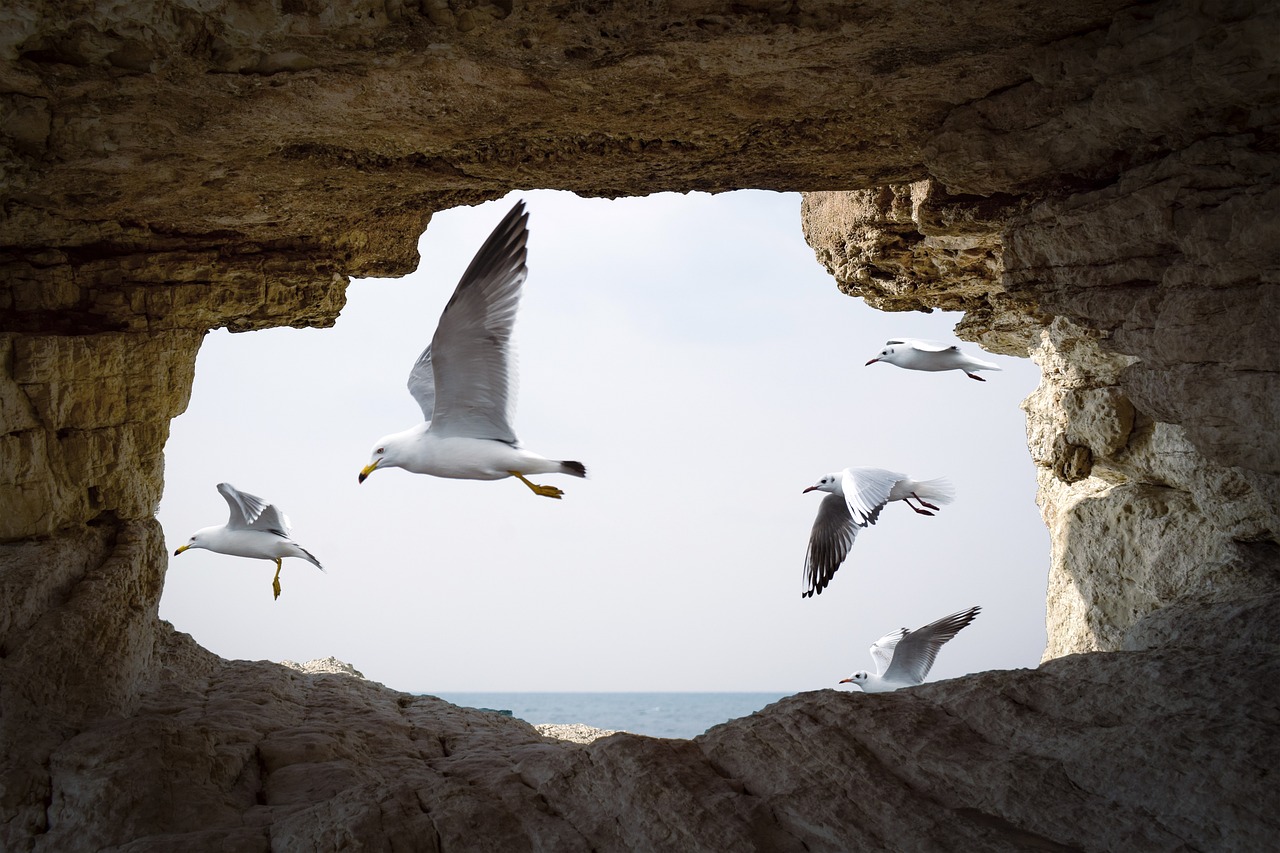 Fondo de Pantalla de pixabay_4652174.jpg