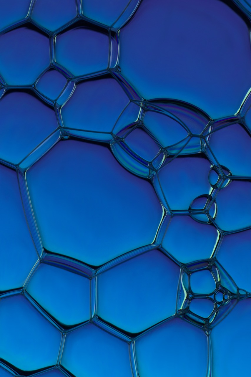 Fondo de Pantalla de pixabay_5074889.jpg