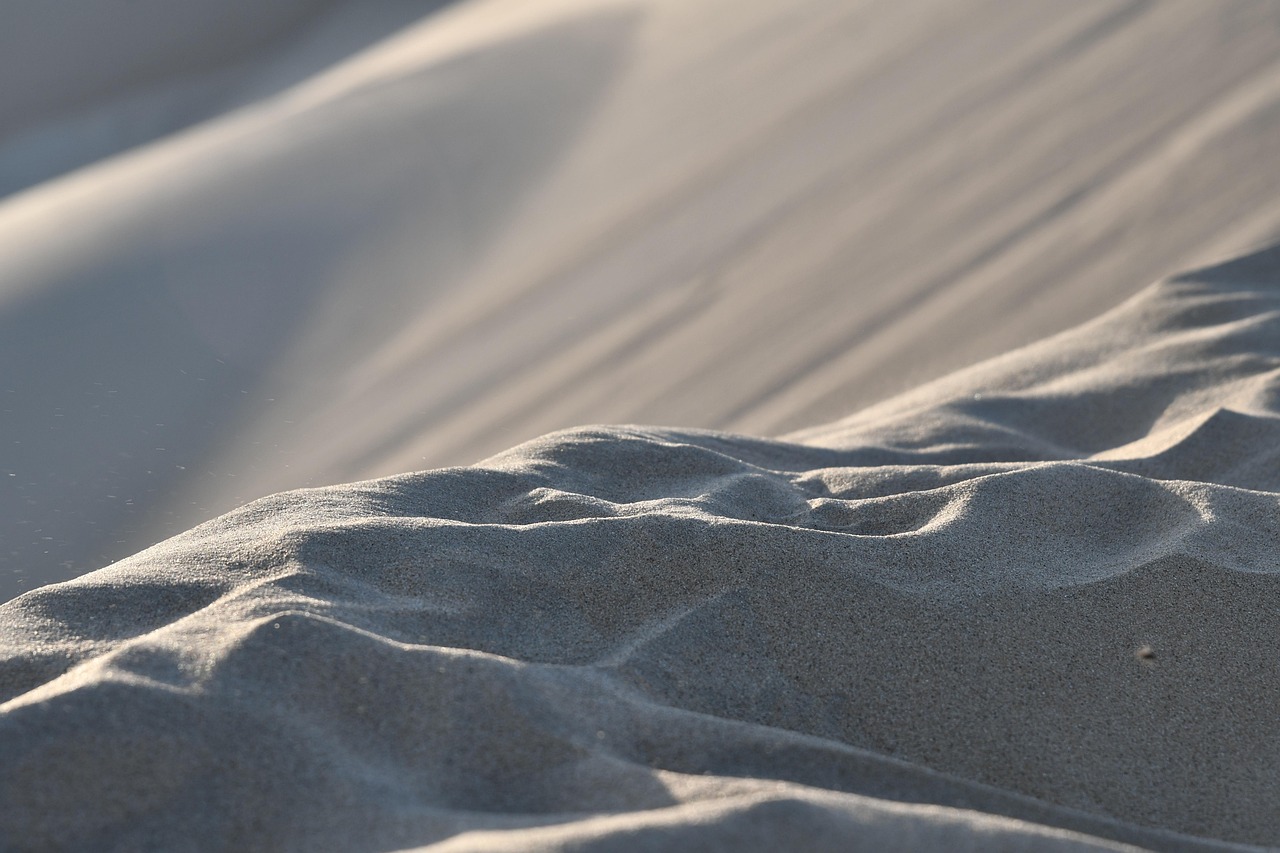 Fondo de Pantalla de pixabay_5100914.jpg