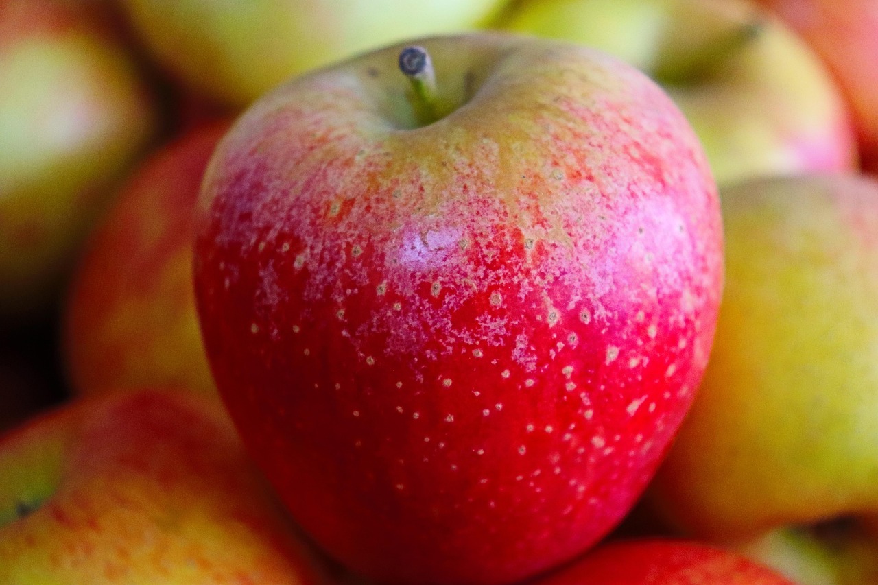 Fondo de Pantalla de pixabay_5363384.jpg