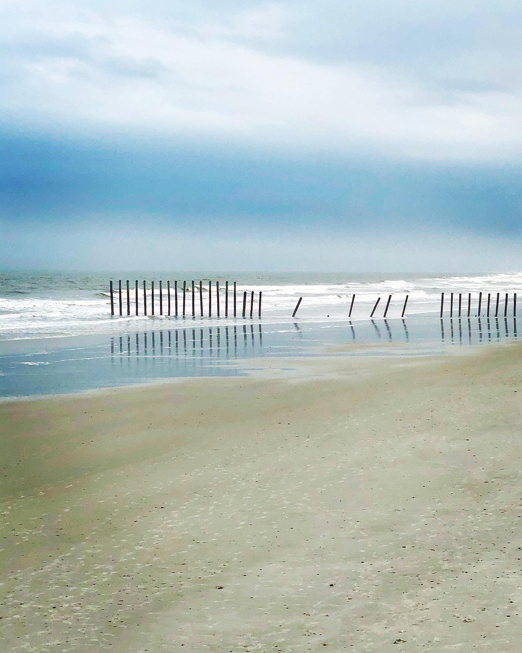 Fondo de Pantalla de pixabay_5579739.jpg